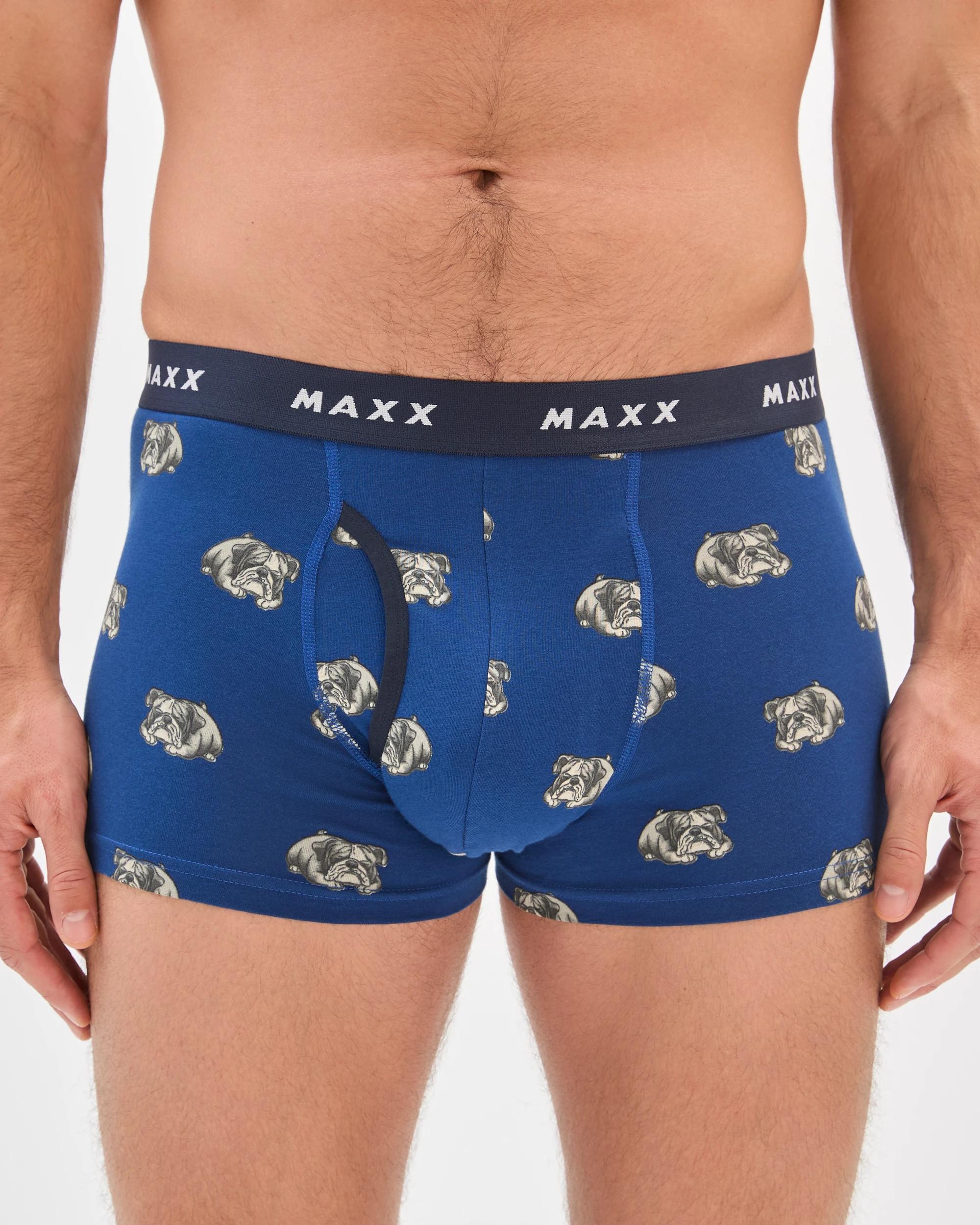 3 Maxx Australian Cotton Blend 3 Pack Flyfront Trunks BLUE DOG, 3 of 4