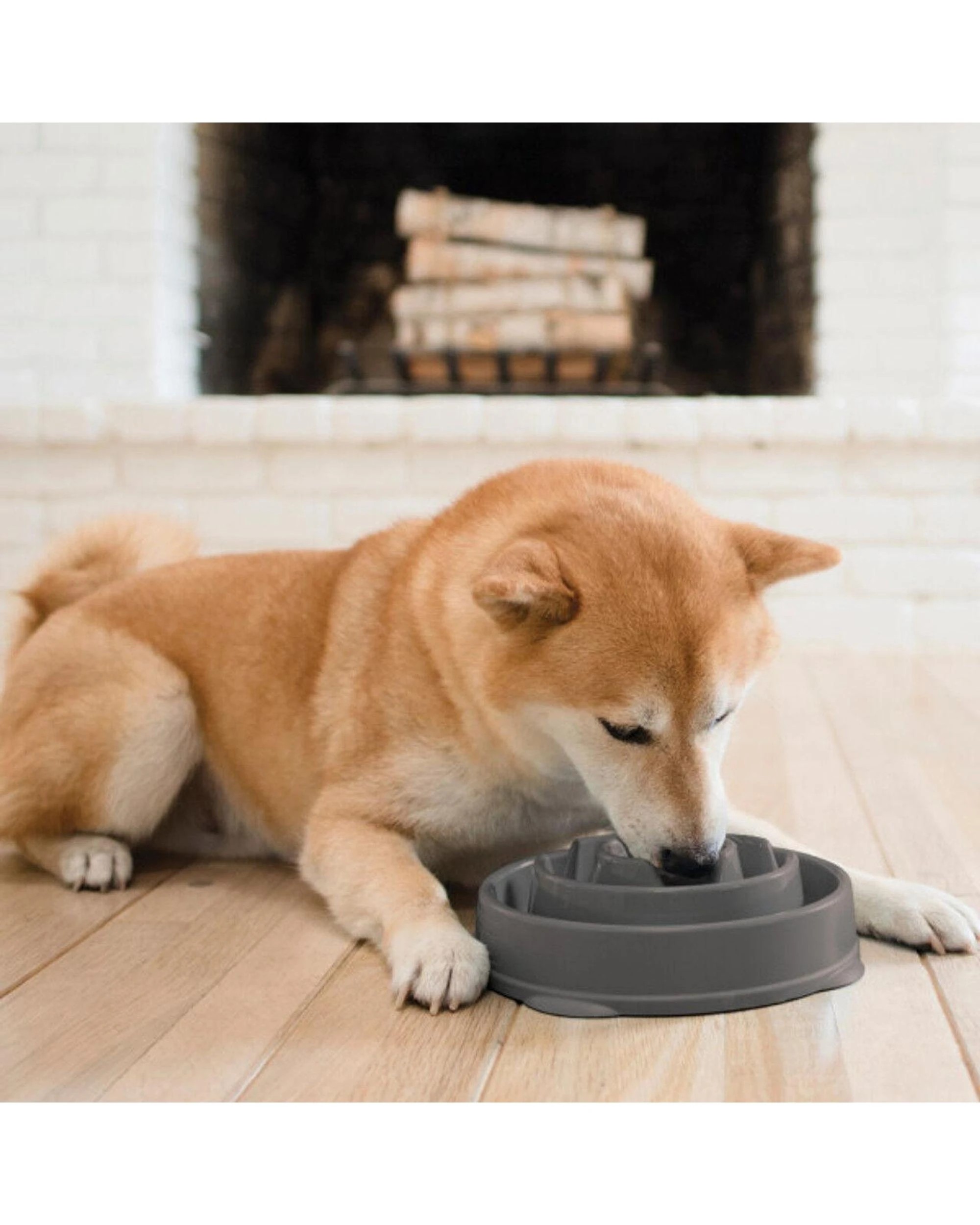 6 Outward Hound Fun Feeder Interactive Slow Bowl Drop for Dogs Grey Medium, 6 of 6