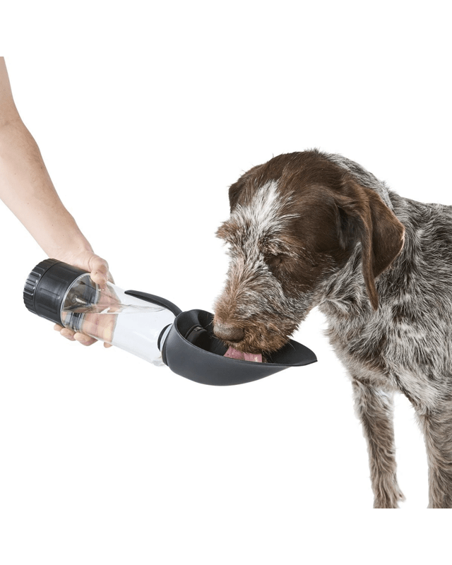 Pet Travel Bottle with Treat Holder - B