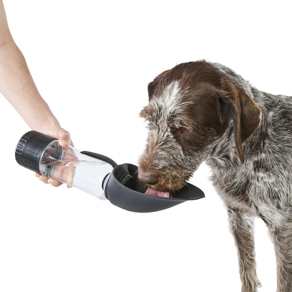 1 Pet Travel Bottle with Treat Holder - Black, 1 of 9