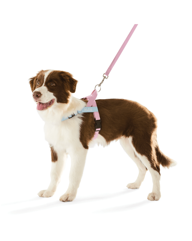 Pink Custom Harness Walking Set - Me