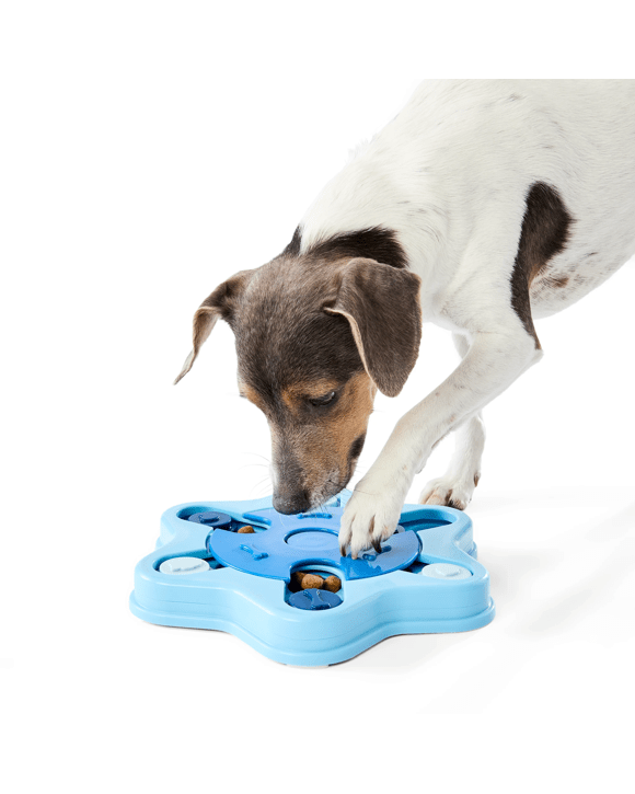 Pet IQ Toy Dispenser