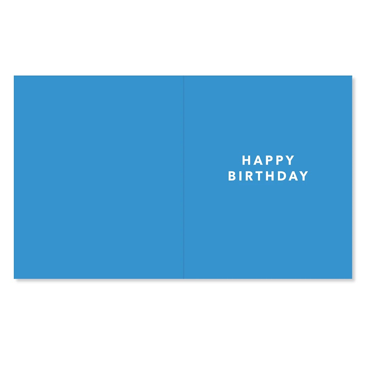 2 Hallmark Birthday Card - Celebrating You, 2 of 3