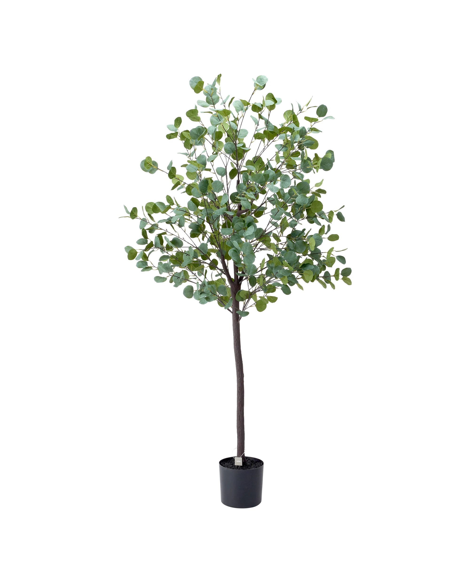 3 Extra Large Artificial Eucalyptus Tree, 3 of 3