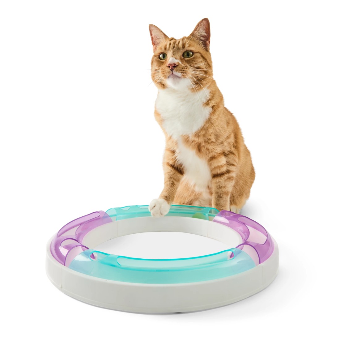 1 Cat Toy Tunnel Runner, 1 of 7