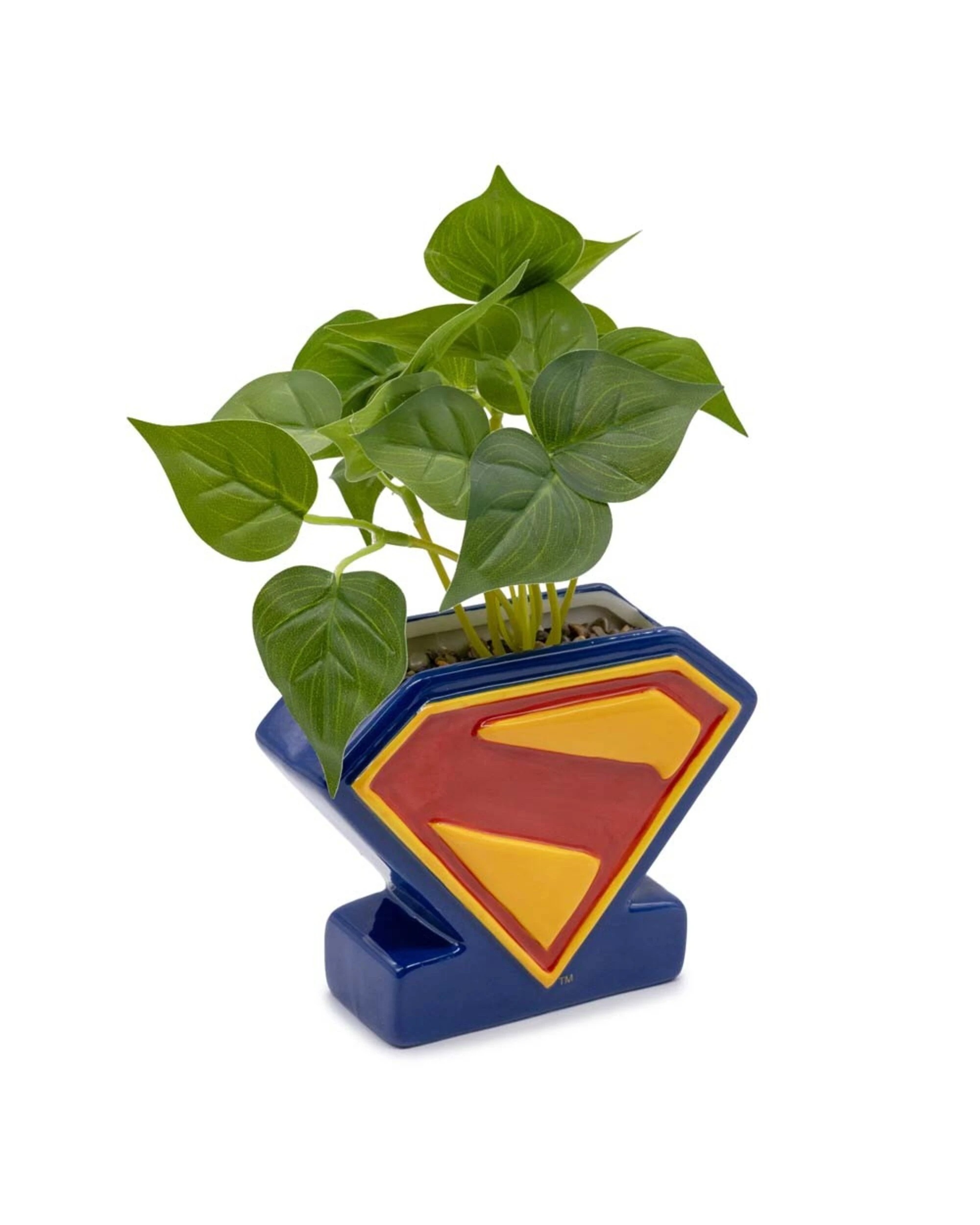 2 DC Comics - Superman - Shield Plant & Planter, 2 of 2