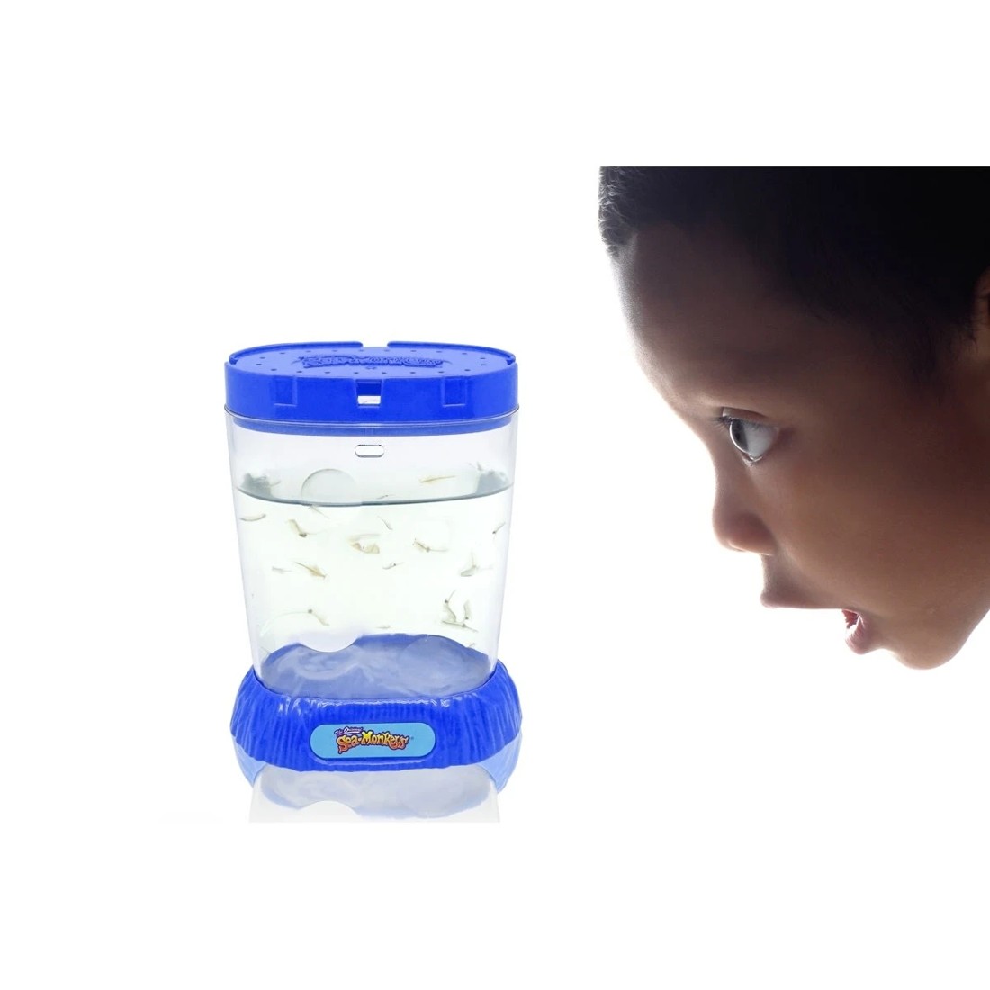 6 Sea Monkeys Ocean Zoo Playset - Assorted, 6 of 9