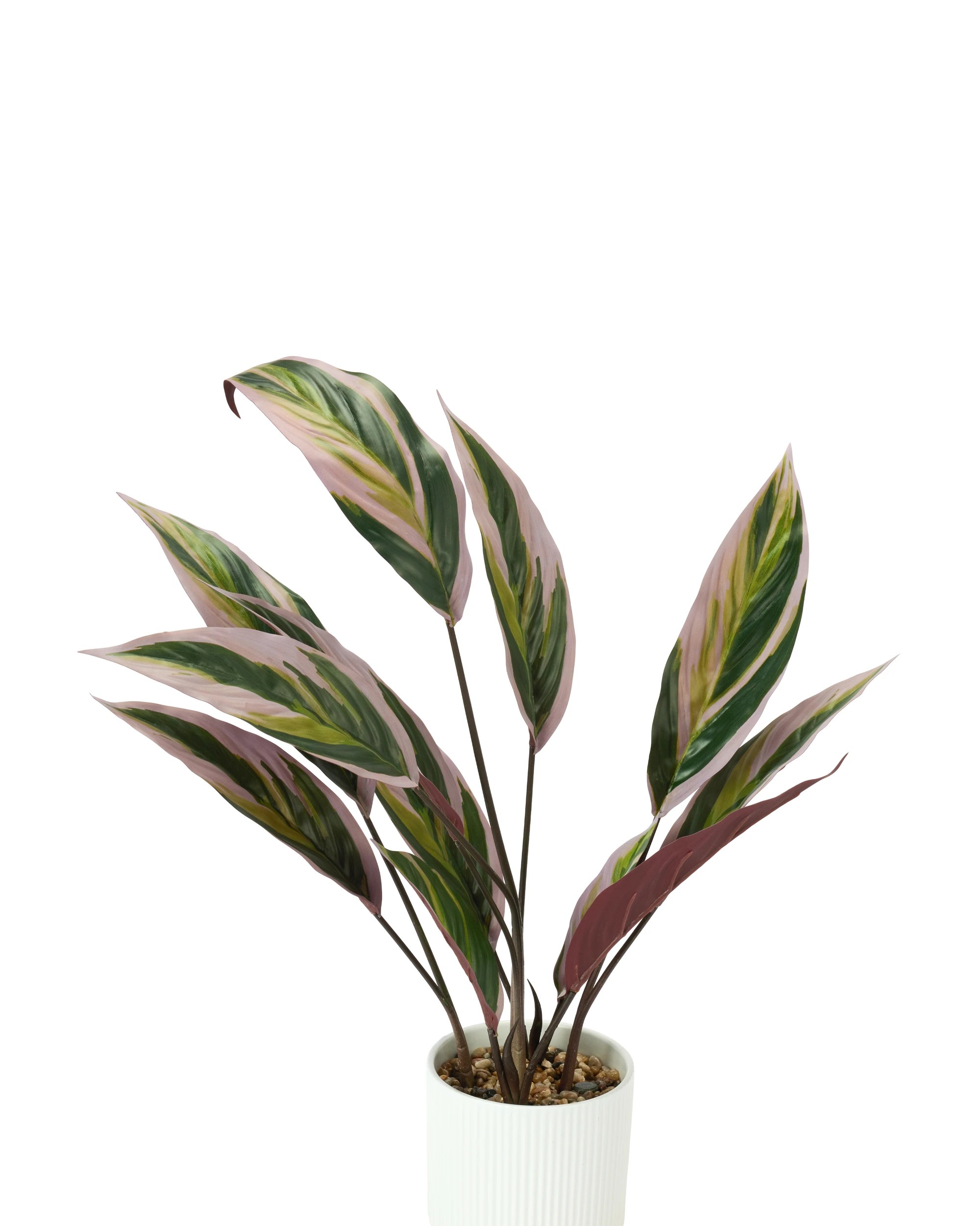 2 Artificial Stromanthe Plant in Linear Pot, 2 of 3