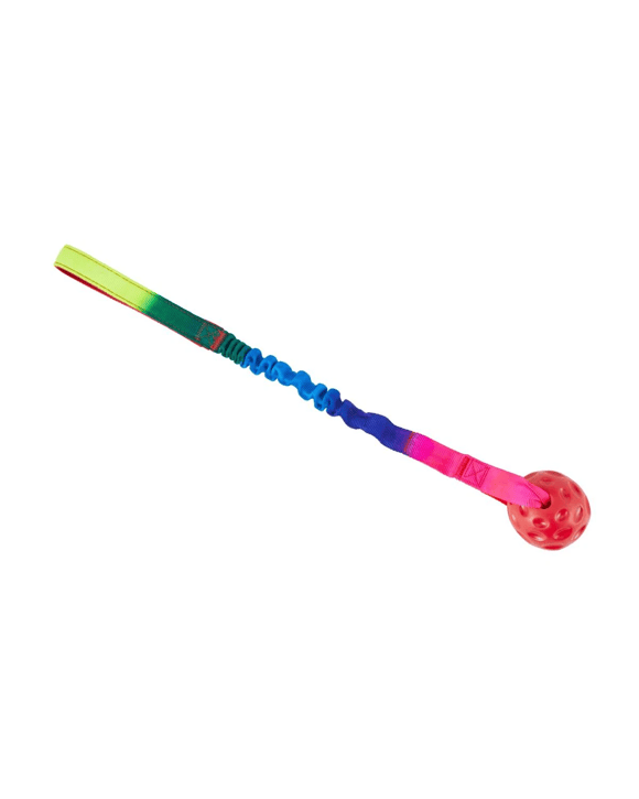 Pet Toy Bungee Ball with Handle