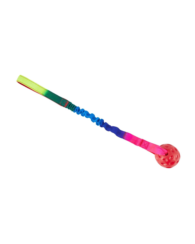 Pet Toy Bungee Ball with Ha