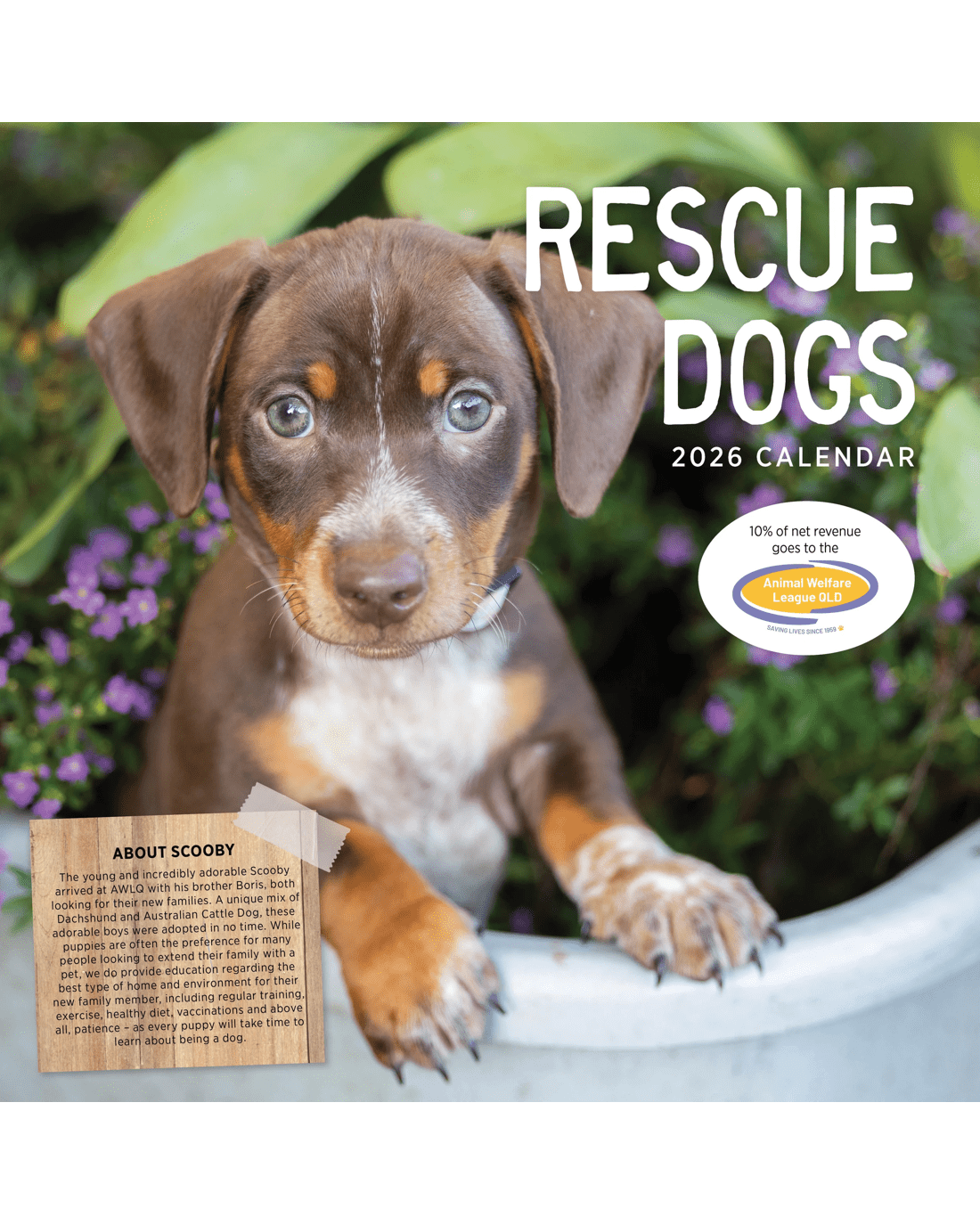 1 Rescue Dogs 2026 Calendar, 1 of 1