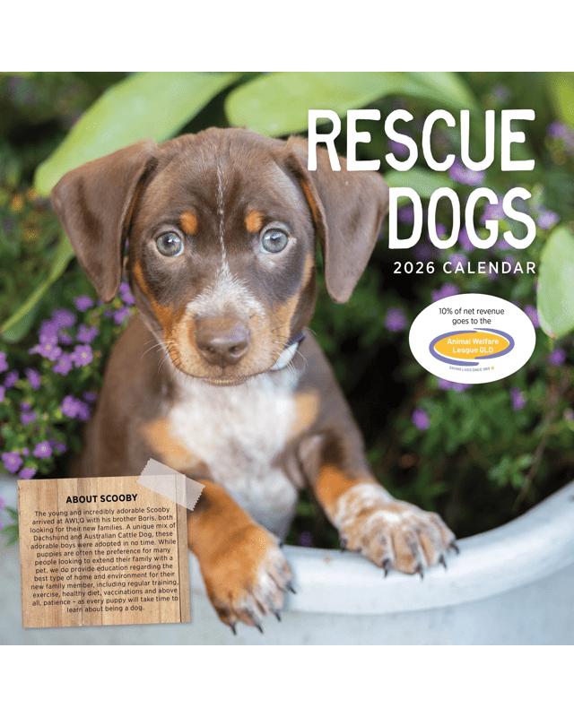Rescue Dogs 2026 Cale