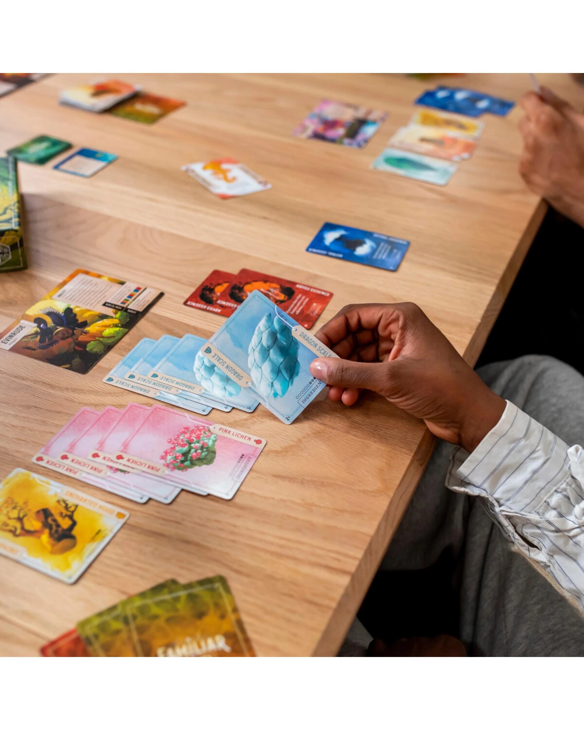 4 A Familiar Find Card Game, 4 of 5