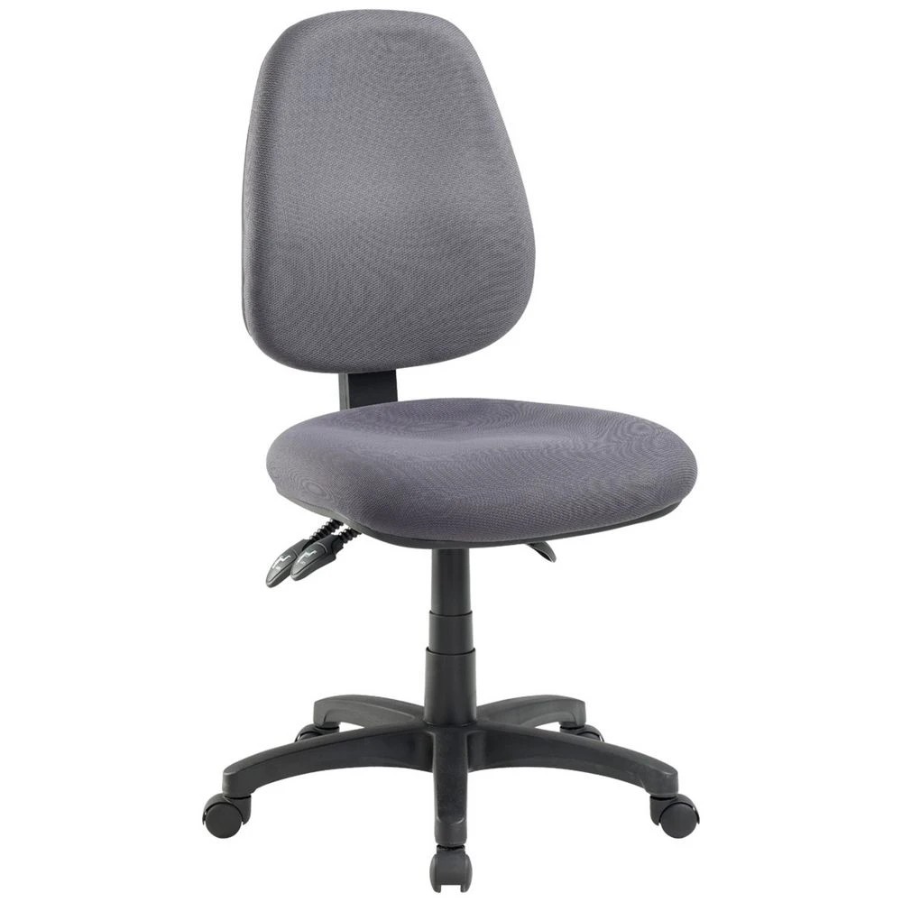 1 Matrix II Plus High Back Heavy-Duty Ergonomic Chair Charcoal Ergonomic Chairs and Desk Chairs, 1 of 5