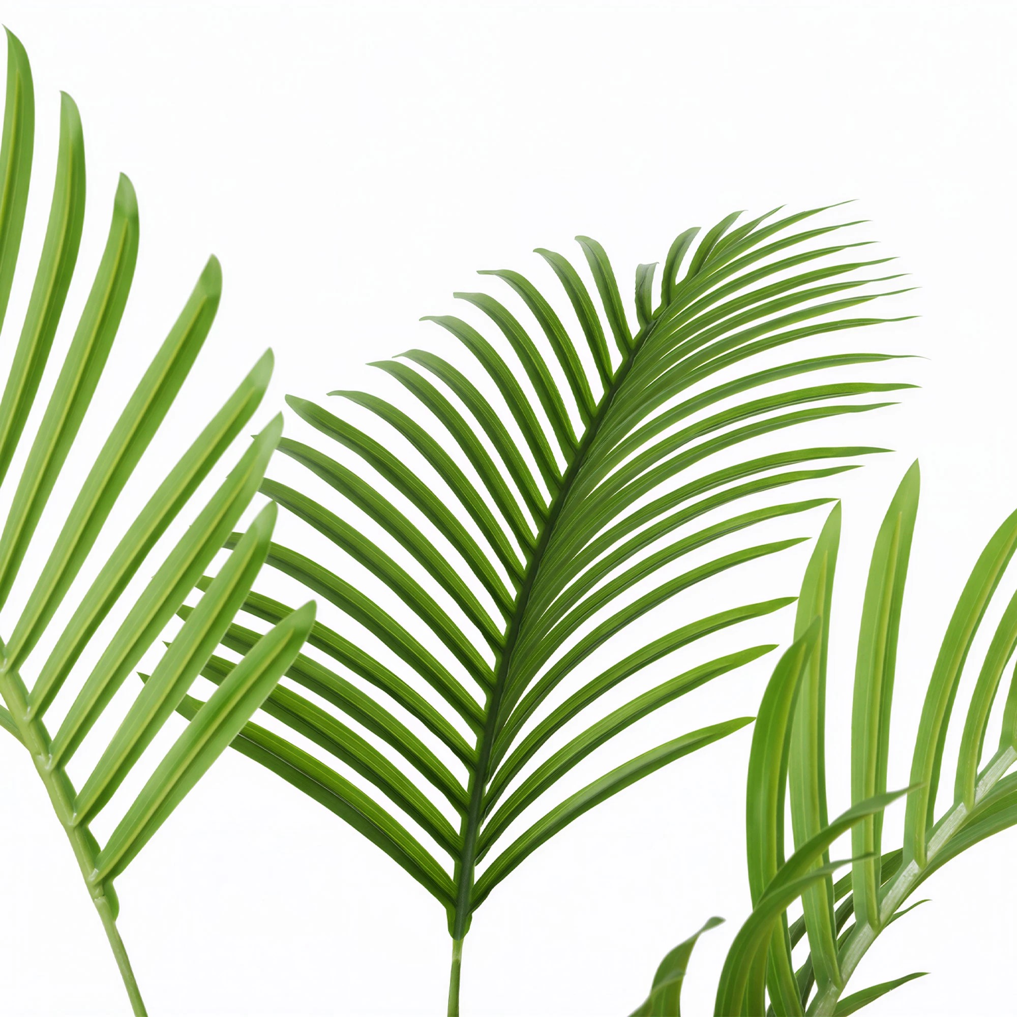 4 Lambu Artificial Palm Tree 6Ft, 4 of 9