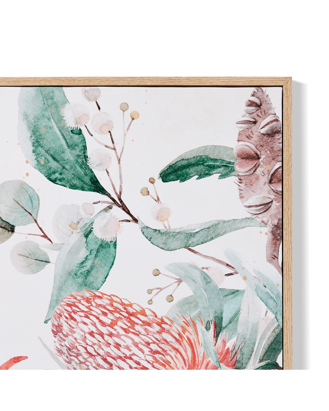 2 2 Pack Natives Framed Canvas, 2 of 7