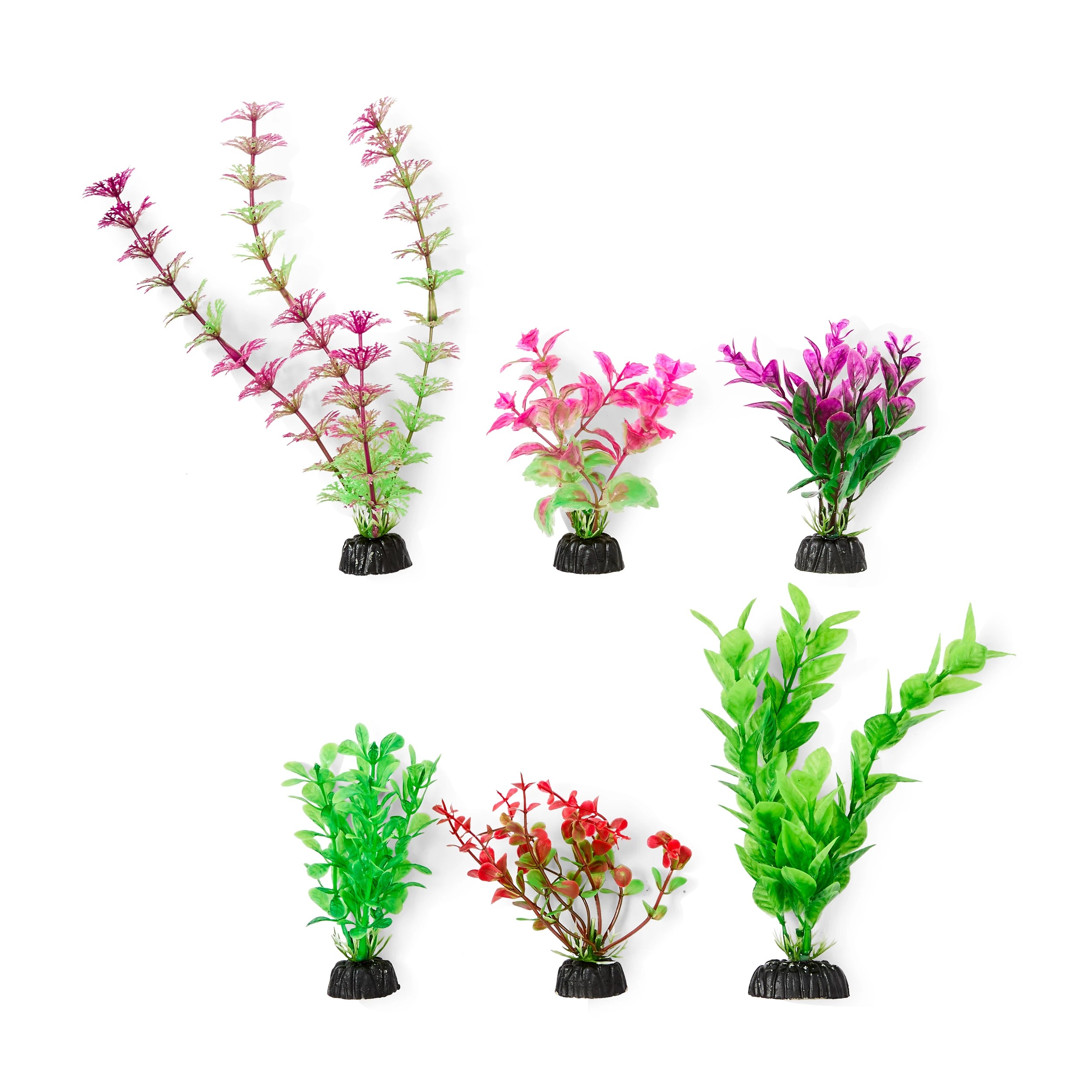 1 Aquarium Natural Plants 6 Pack - Small, 1 of 10