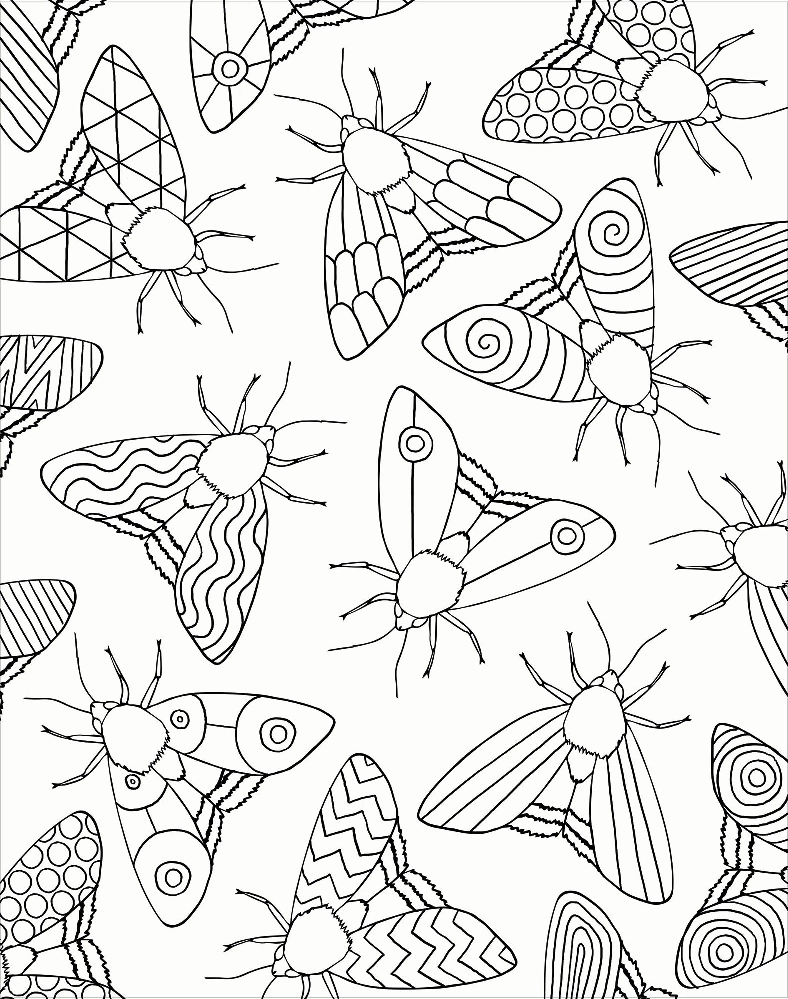 2 Colour-Your-Own Gallery Wall Art: Bugs - Book, 2 of 5