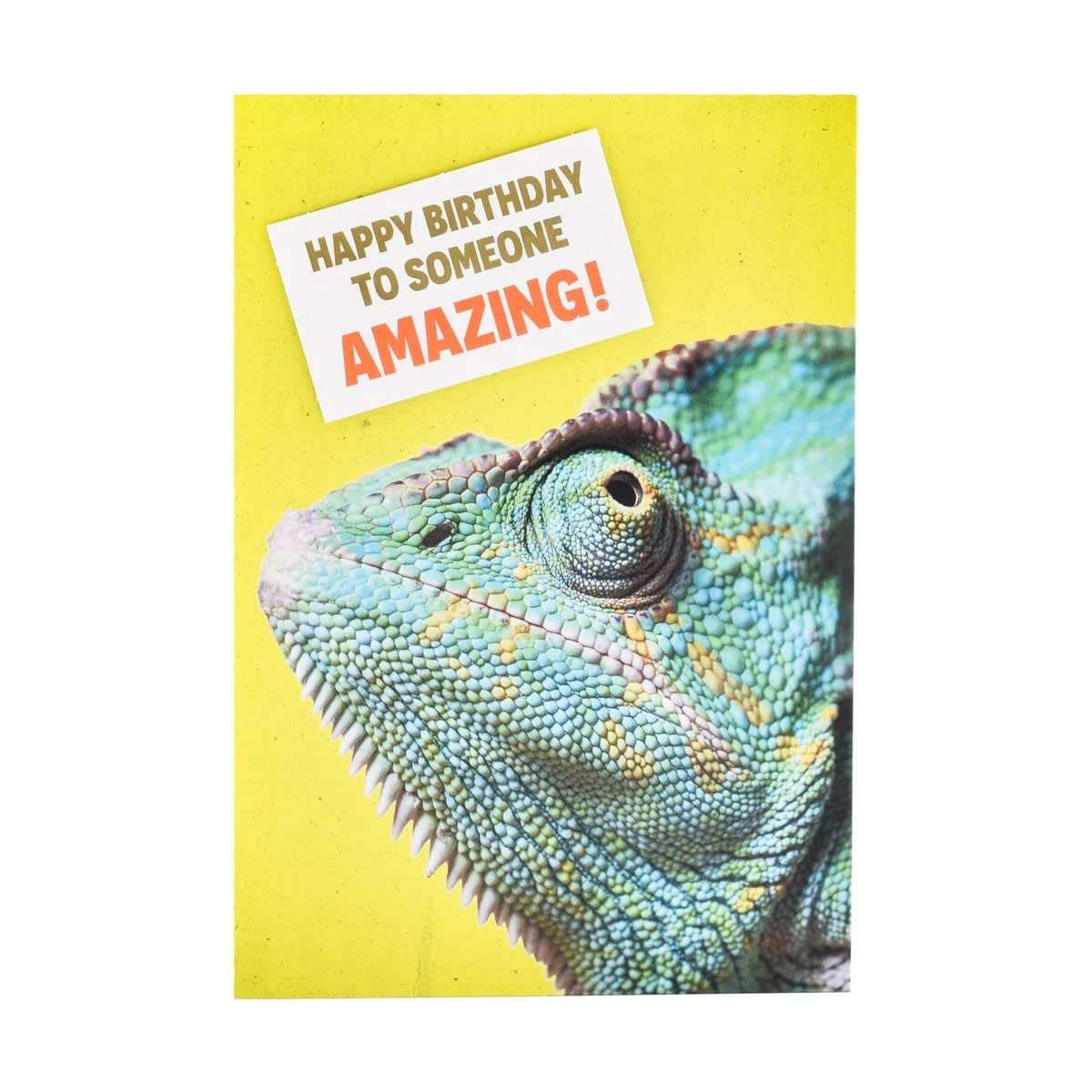 3 Hallmark Birthday Card - Cheeky Chameleon, 3 of 3