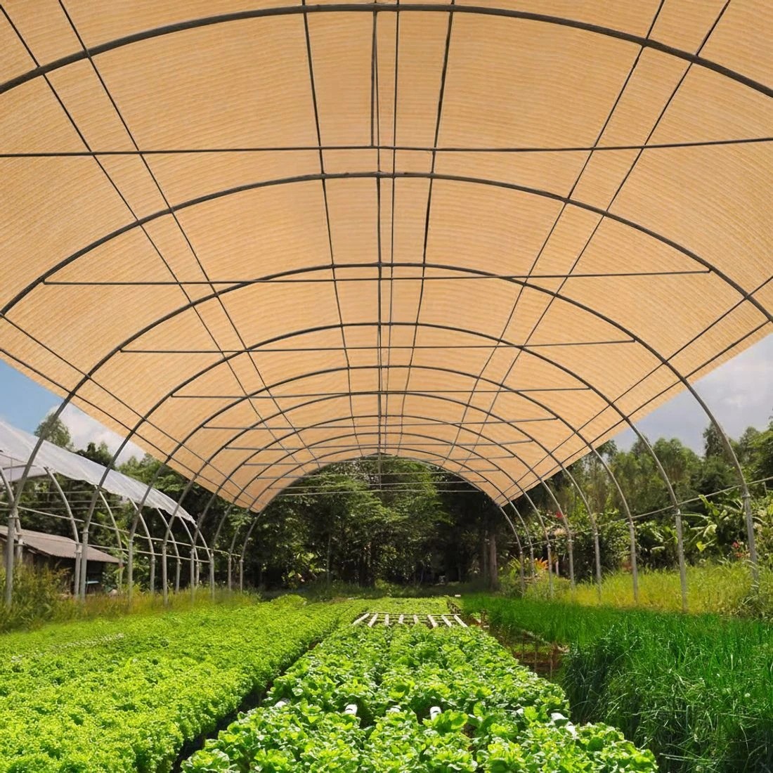 5 Instahut 50% Shade Cloth 1.83x10m Shadecloth Sail Hevy Duty - Beige, 5 of 5
