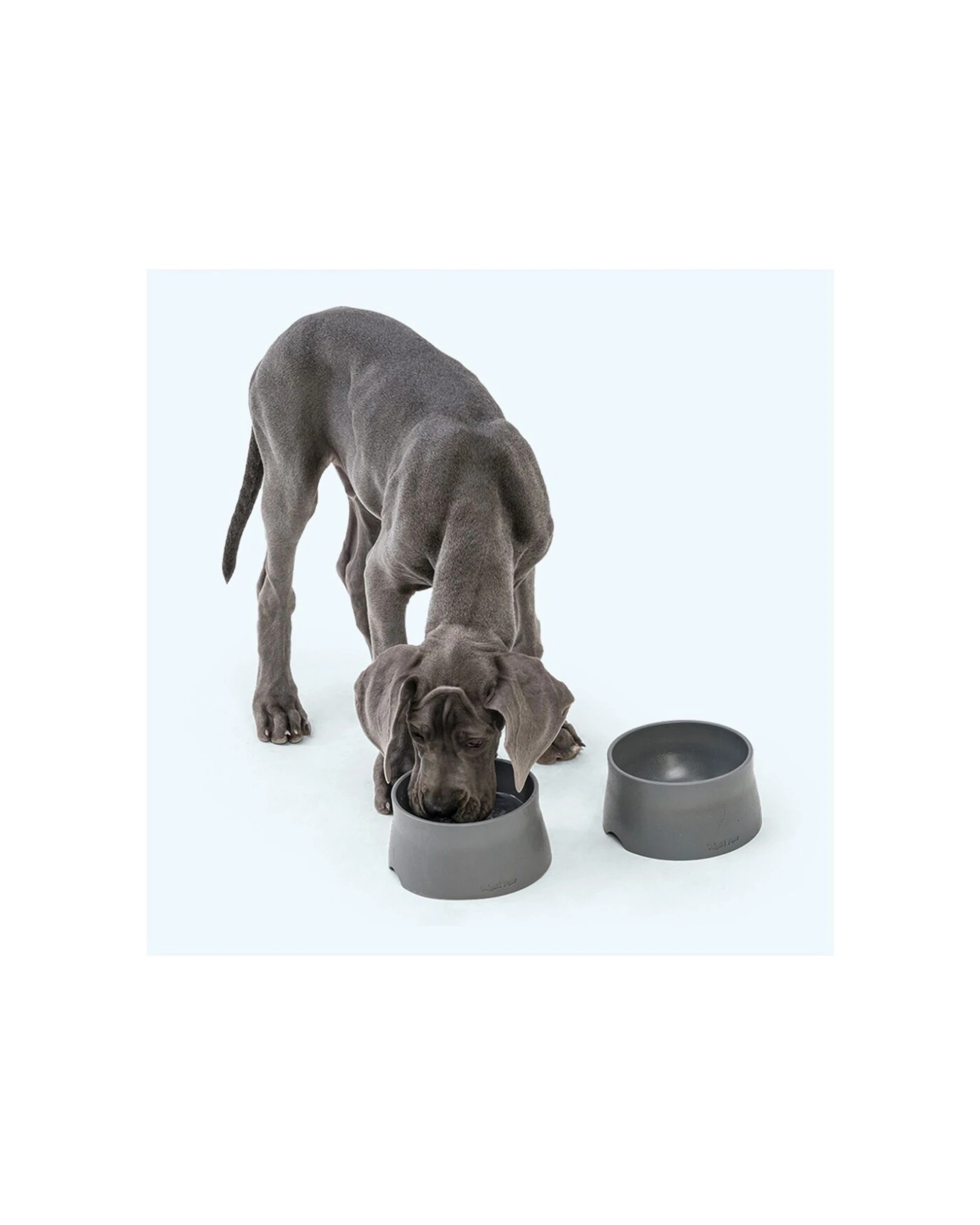2 West Paw Non-Slip Dog Bowl Food And Water 35oz Dishwasher Safe Seaflex - Grey, 2 of 3