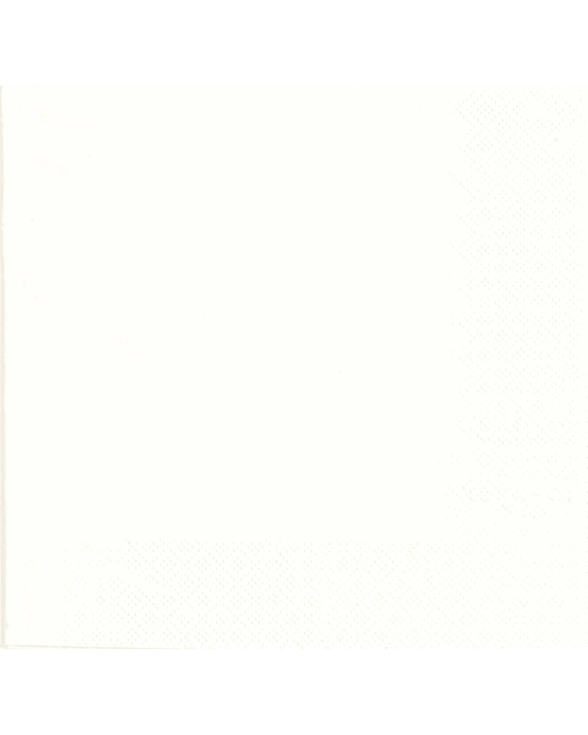 1 Alpen Lunch Napkins Serviettes Pack of 50 - White, 1 of 1