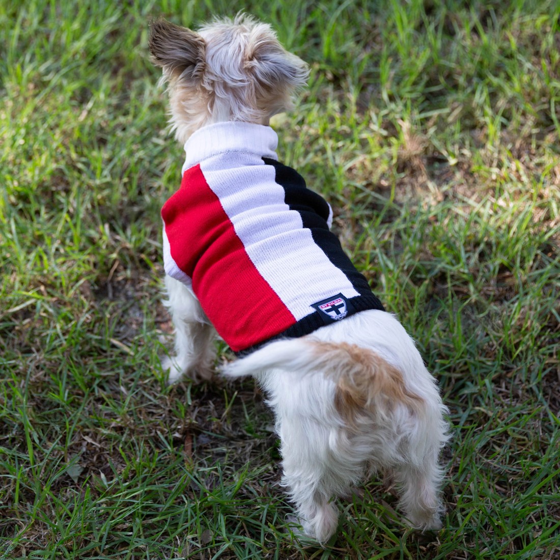 4 AFL St Kilda Saints Pet Jumper - Large, 4 of 4