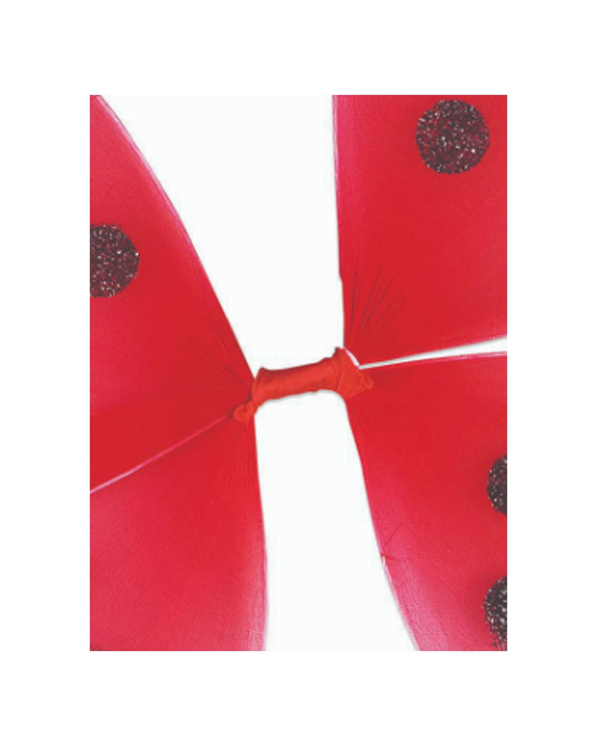 3 Rubies Fabric Ladybug Wings Costume Set Accessory Child Costume - Red, 3 of 3