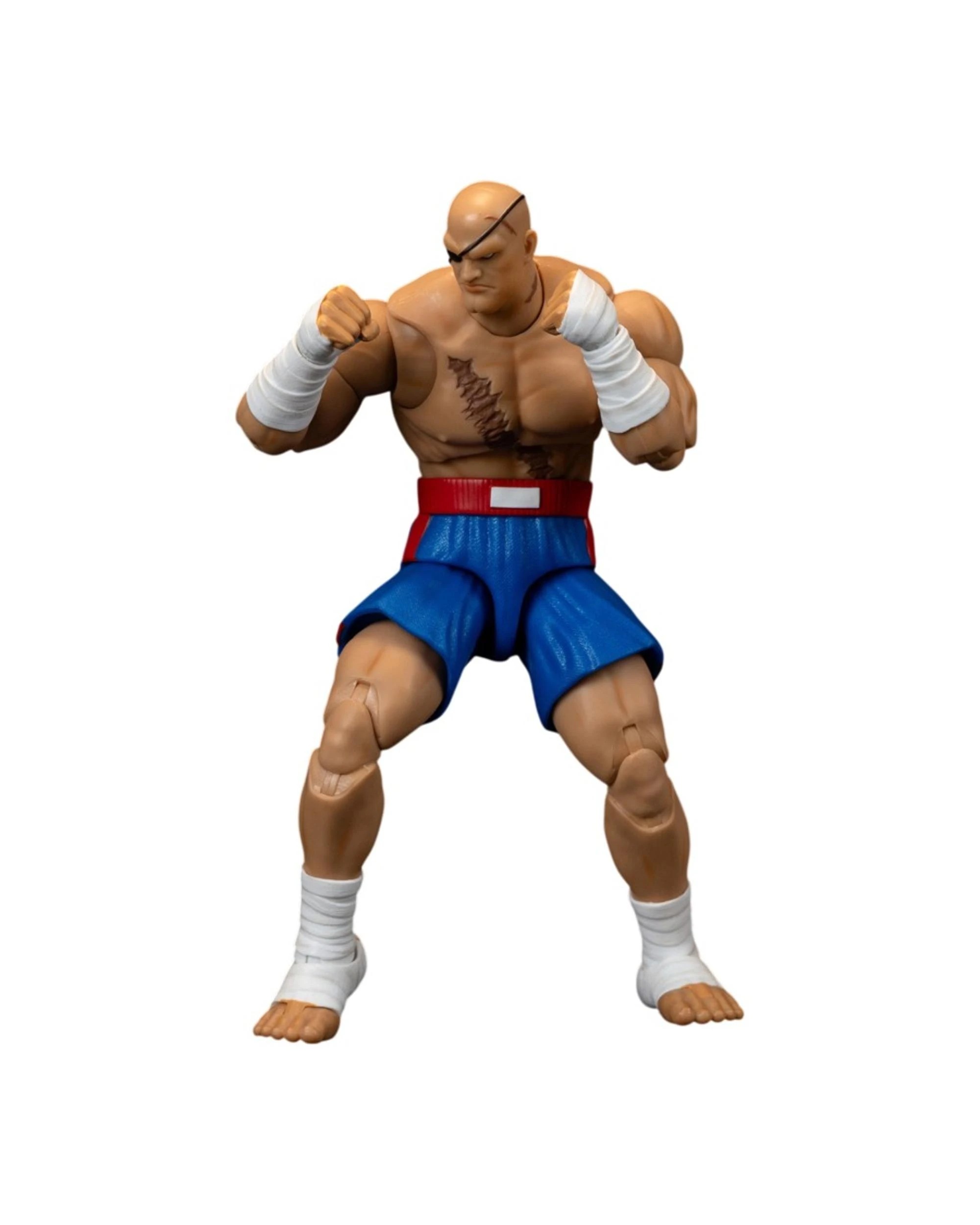 1 Jada Toys Street Fighter II The Final Challengers Sagat 6 inch Action Figure, 1 of 9
