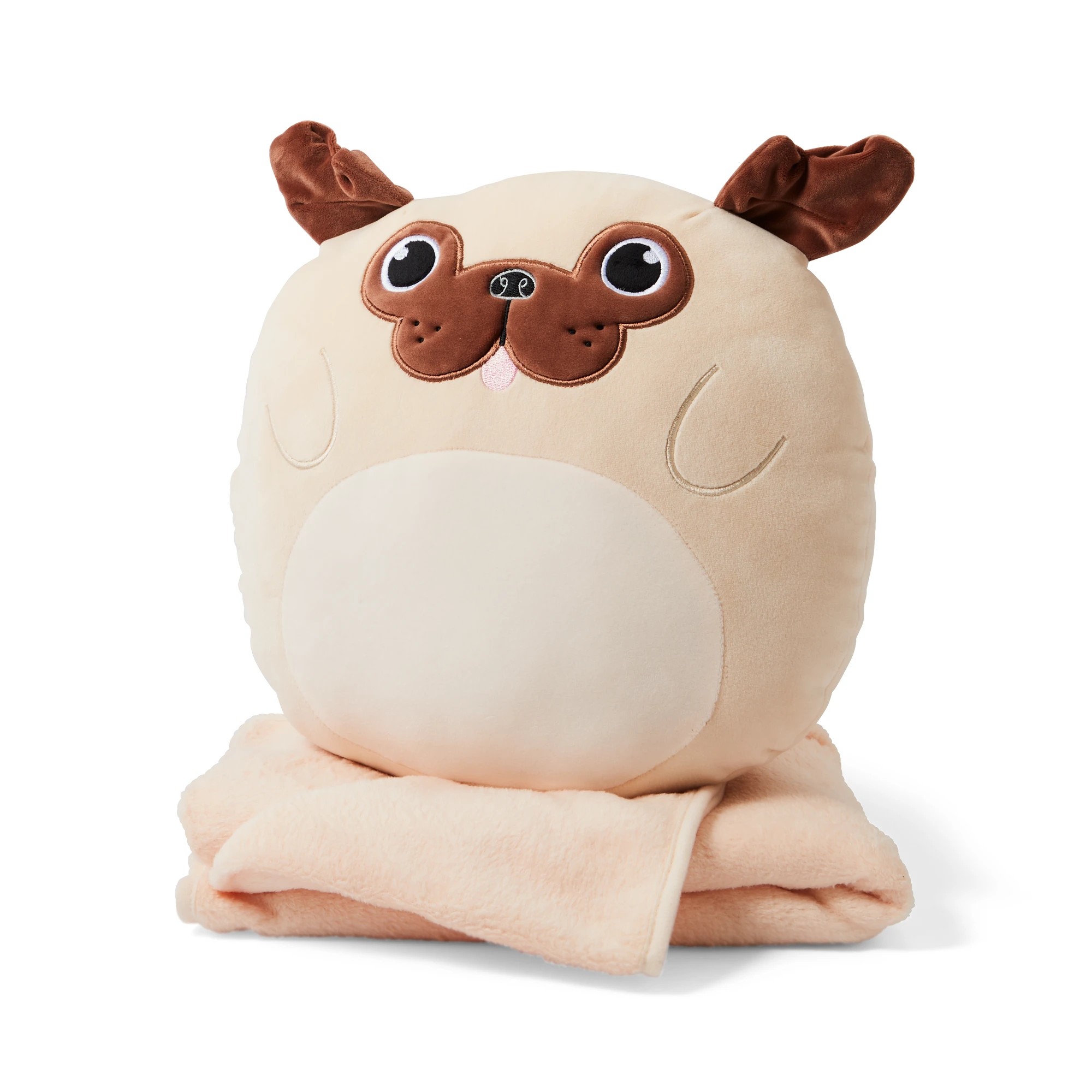 4 2-in-1 Puppy Travel Blanket and Pillow, 4 of 6