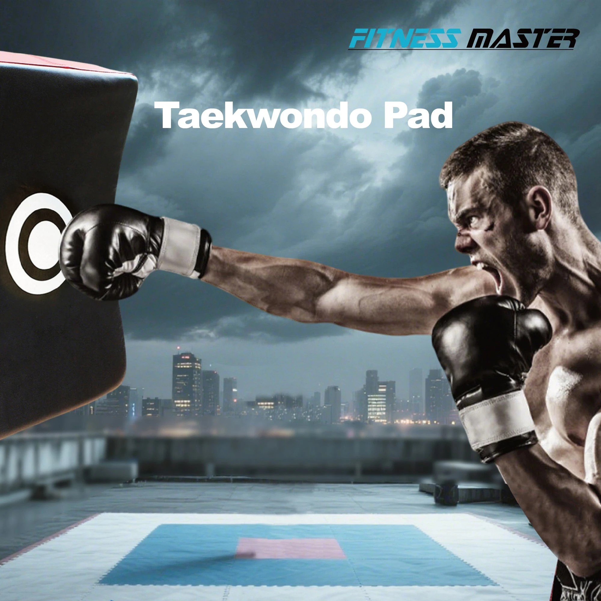 8 Fitness Master Kickboxing Foot Target Pad Taekwondo Training Shield 56cm, 8 of 9