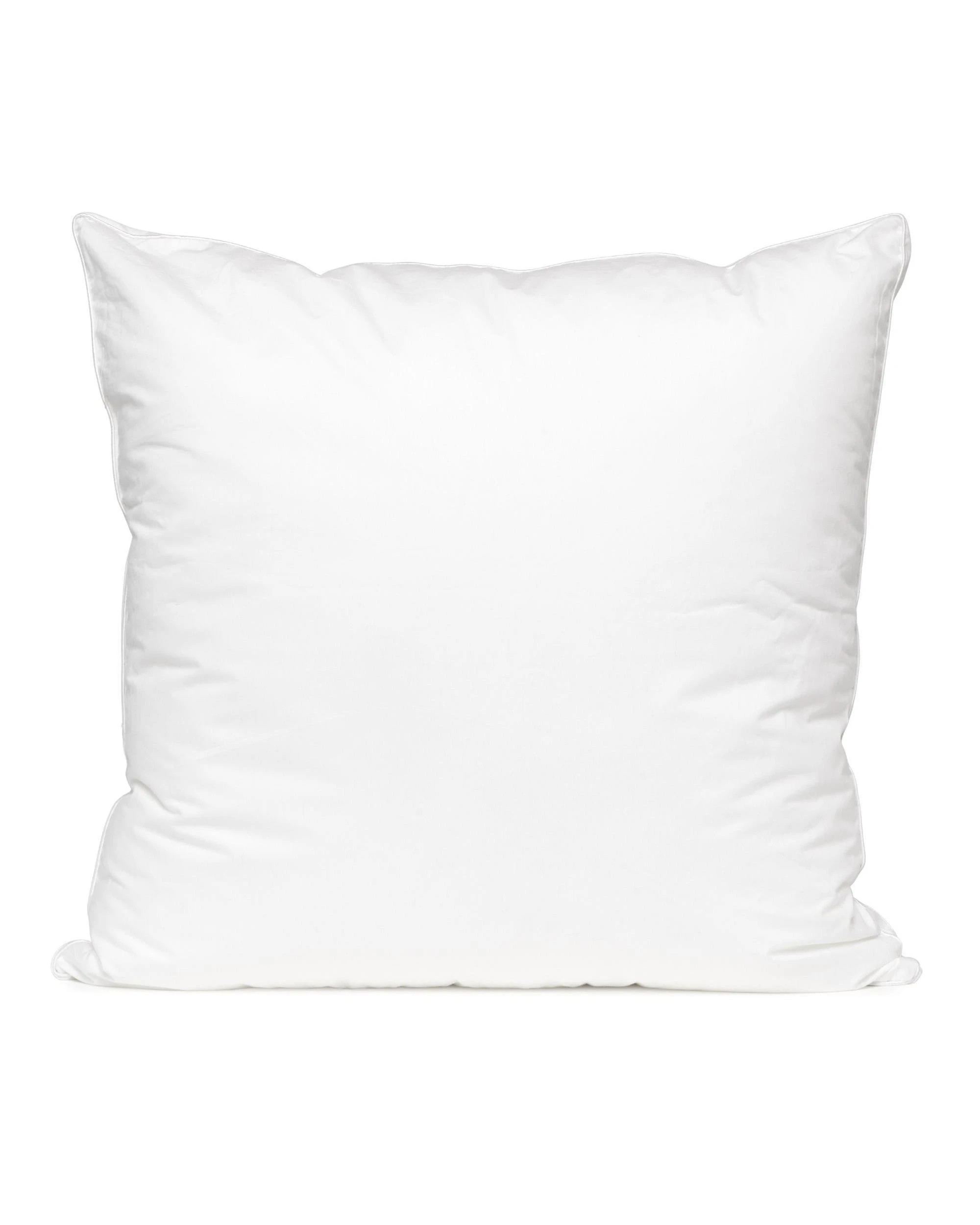 1 Odyysey Living Microlush European Pillow 900Gms - White, 1 of 1