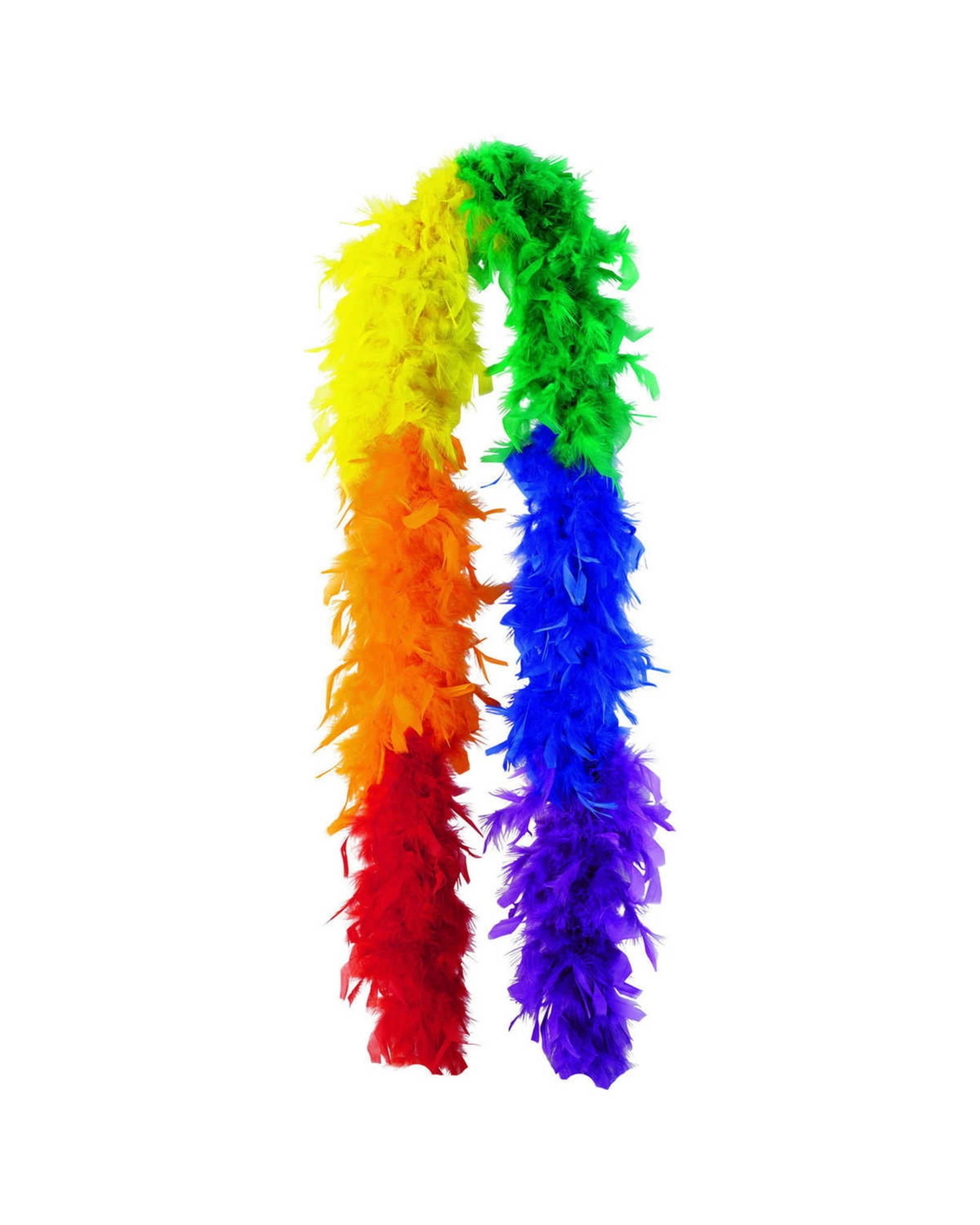 2 Anagram Rainbow Coloured Feather Boa - Multi-Colored, 2 of 2