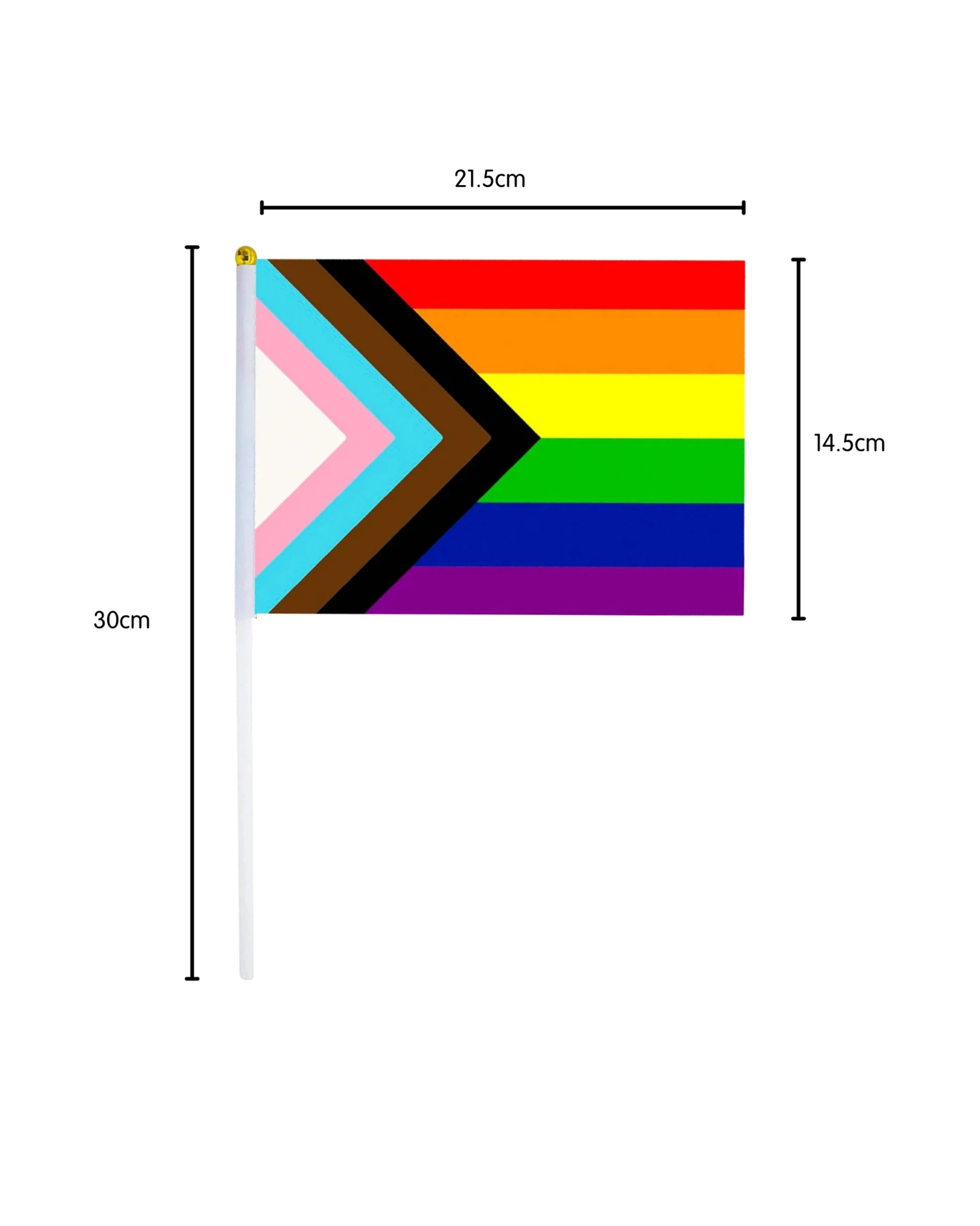 2 Partyrama Rainbow Progress Pride Flags 21.5cm Pack of 8, 2 of 4