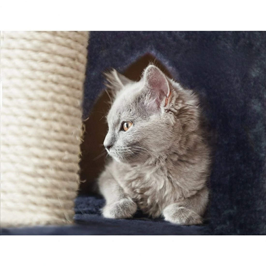 5 i.Pet Cat Tree 244cm Tower Scratching Post Scratcher Trees Condo House - Grey, 5 of 7