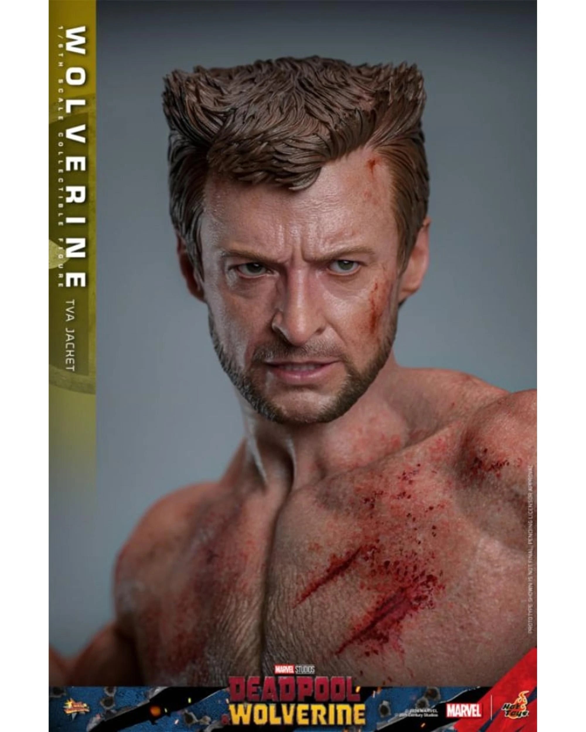 3 Hot Toys Deadpool and Wolverine: Wolverine - TVA Jacket Version -  1:6 Scale Collectible Action Figure, 3 of 8