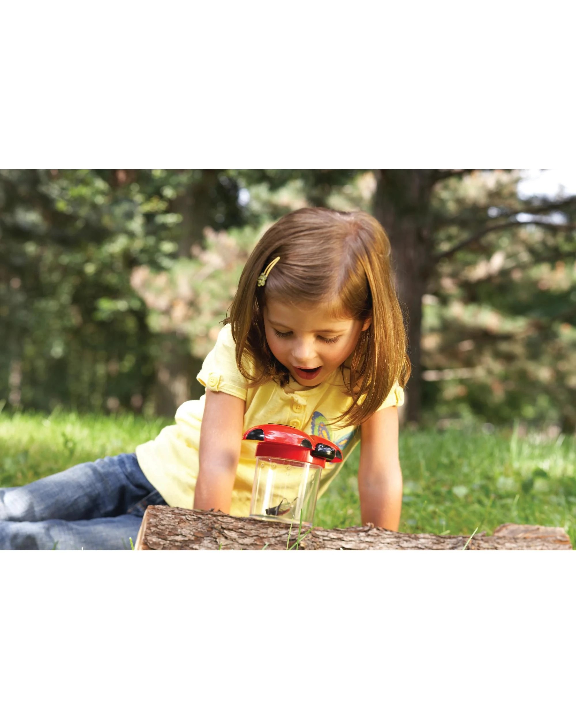 5 Learning Resources Primary Science Big View Bug Jar Assorted, 5 of 5