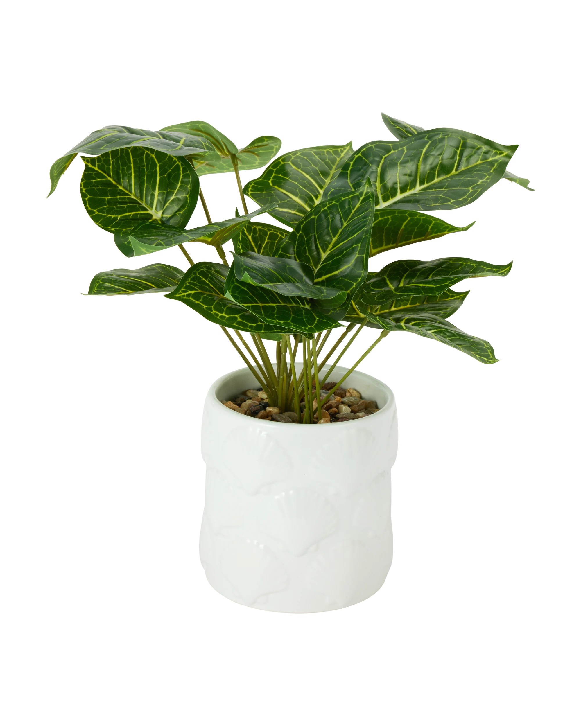 1 Artificial Syngonium Plant in Shell Pot, 1 of 3