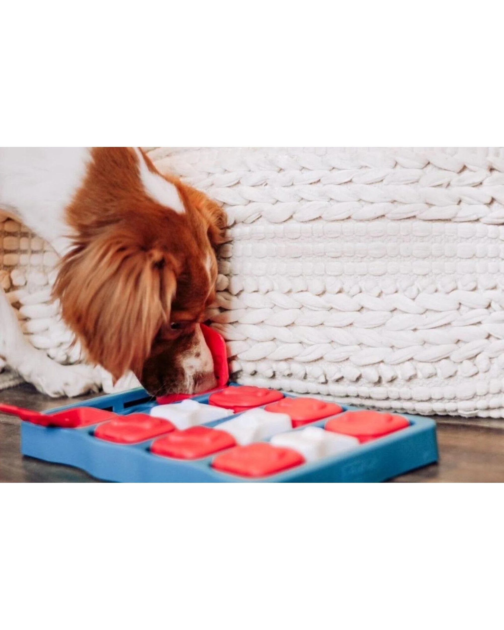 9 Outward Hound Nina Ottosson Dog Brick Puzzle Game Level 2 Dog Toy Blue, 9 of 9