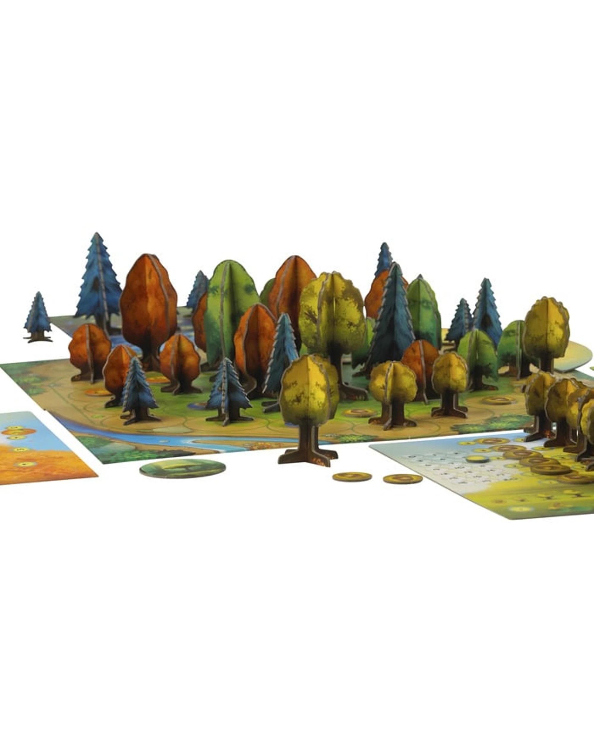 2 Photosynthesis Board Game, 2 of 3