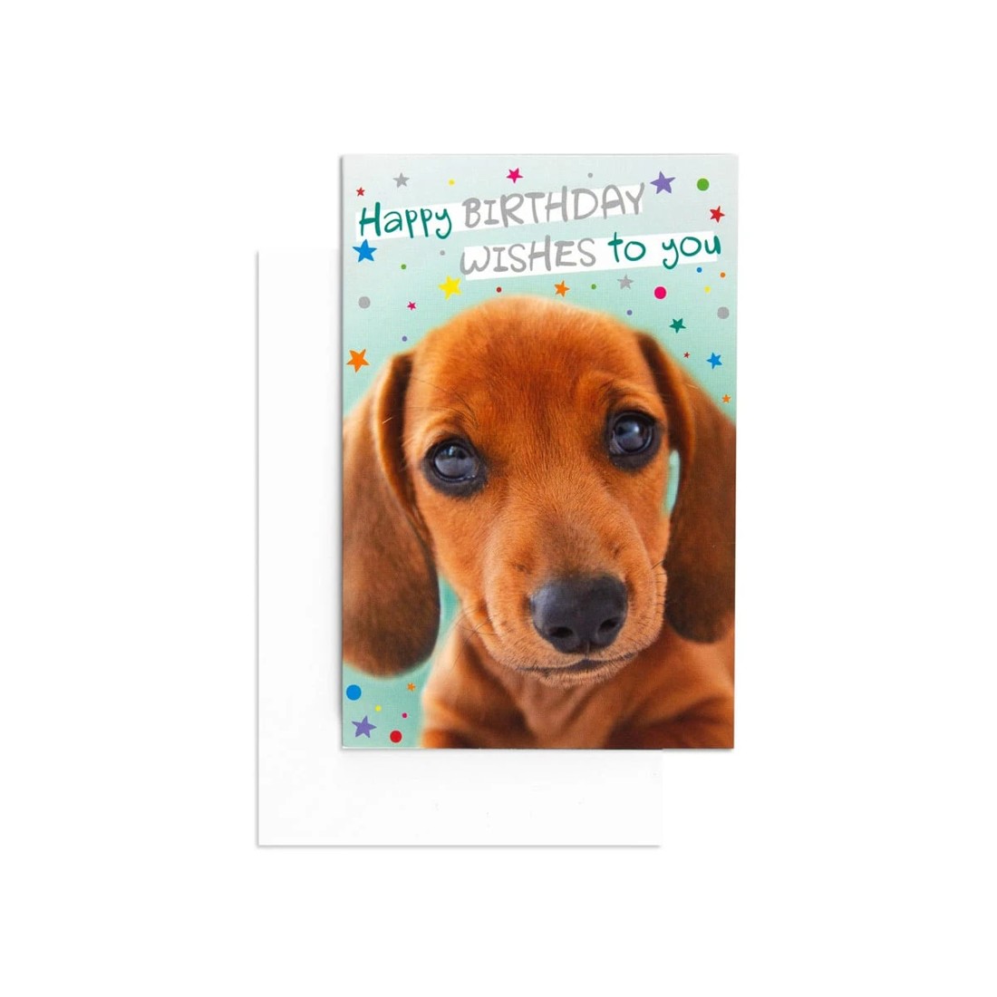2 Hallmark Birthday Card by Creative Publishing - Dachshund Dog, 2 of 3