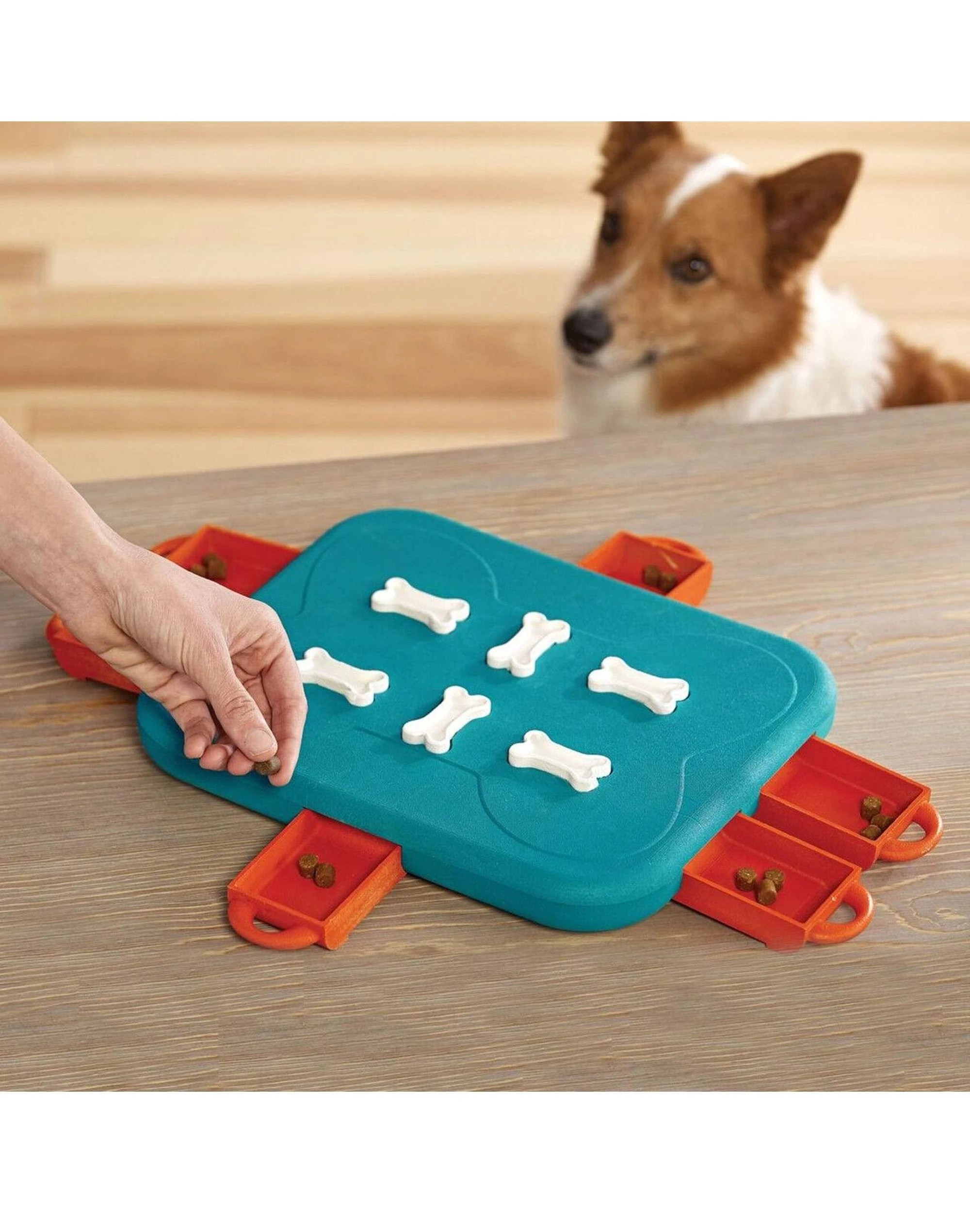 7 Outward Hound Nina Ottosson Dog Casino Treat Puzzle Dog Toy Turquoise, 7 of 7