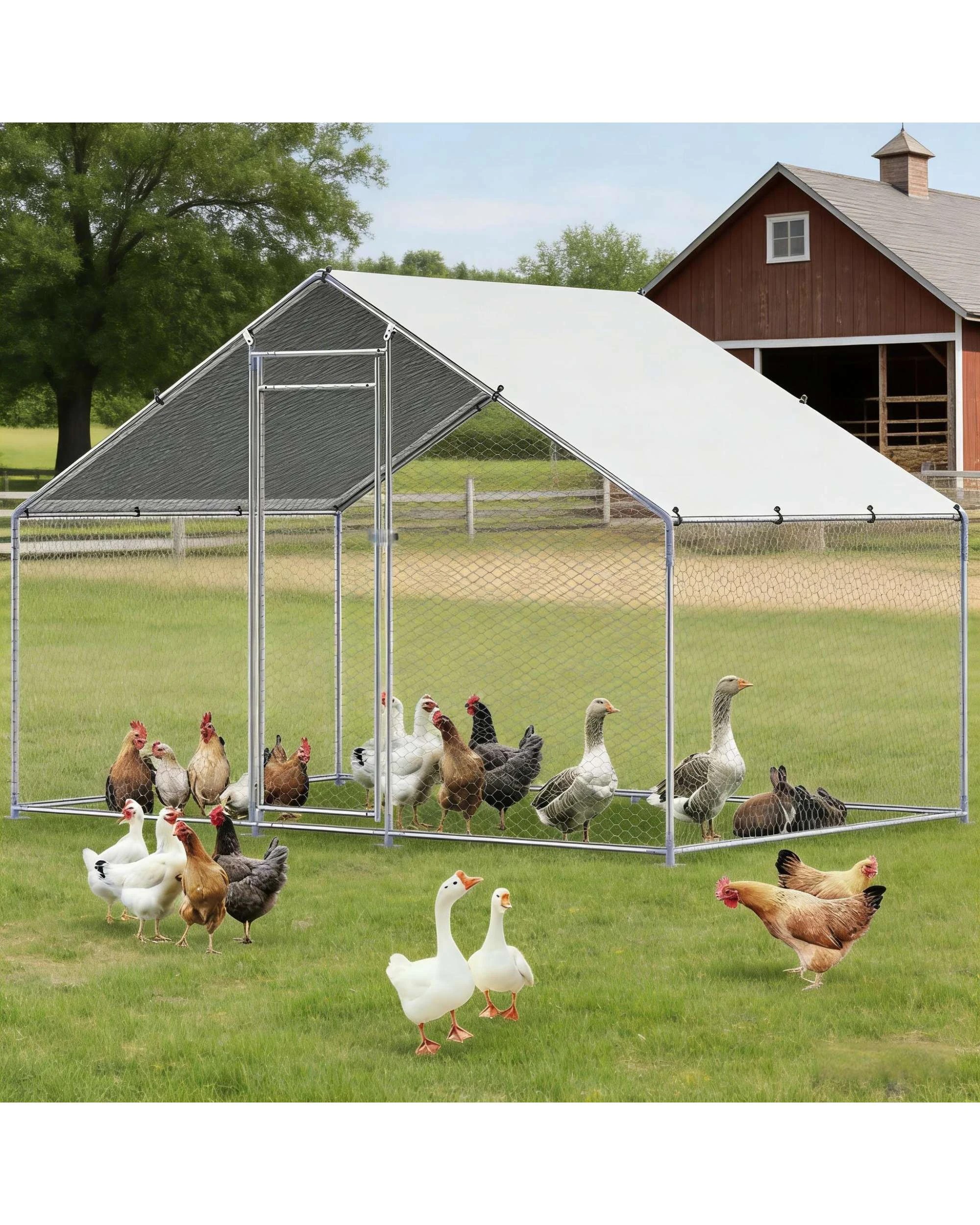 2 Advwin Walk-in Large Chicken Coop Poultry Cage, 2 of 8