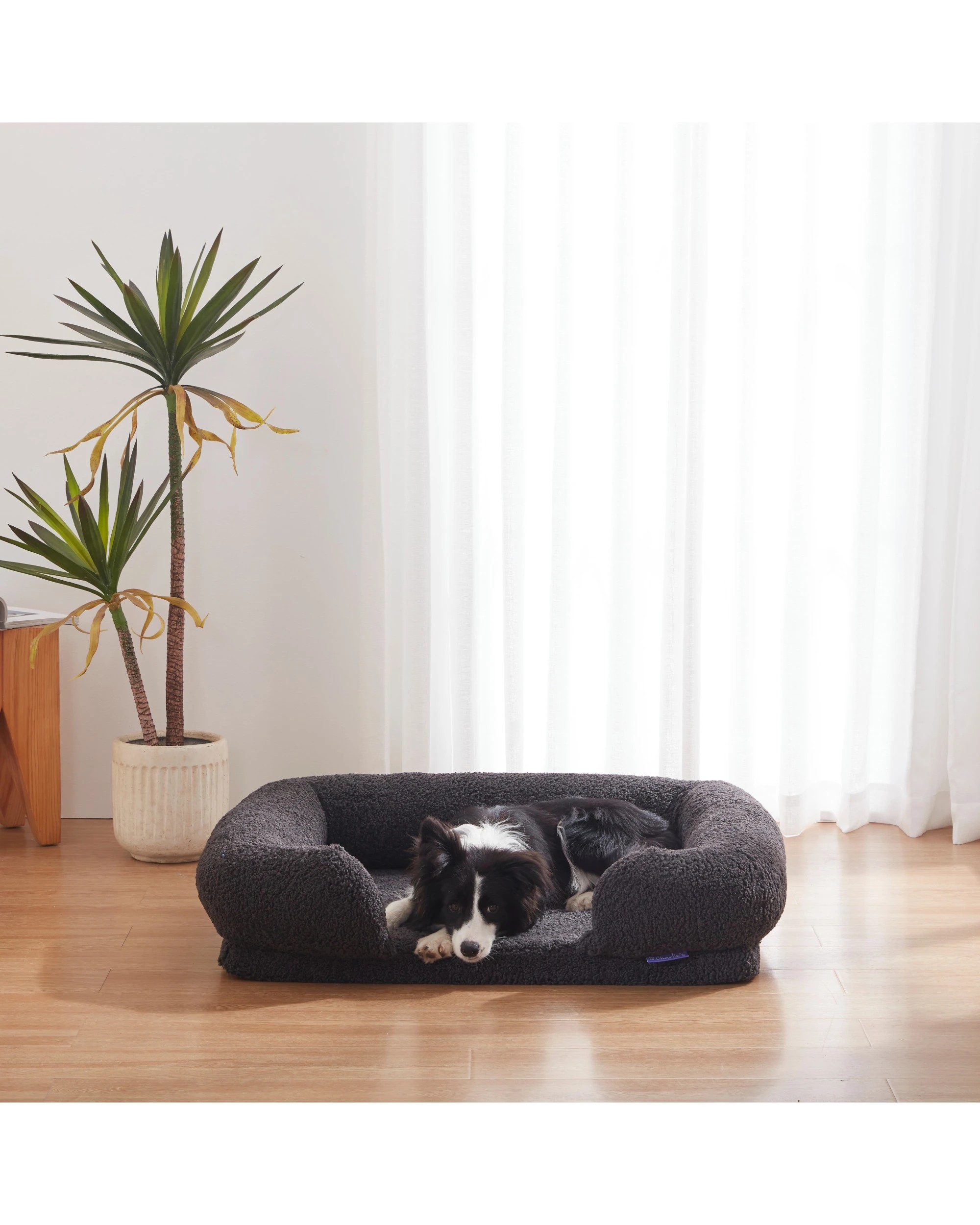 9 Charlie's Teddy Fleece Orthopedic Memory Foam Sofa Dog Bed with Bolster Large - Charcoal, 9 of 9