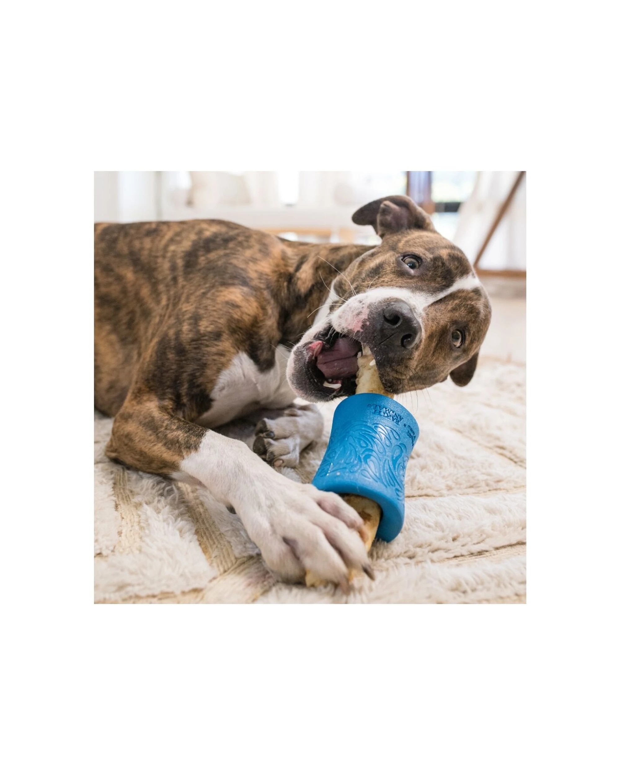 4 West Paw Funnl Pet Dog Treat Dispenser Soft Chew Toy No-Hide Holder Zogoflex - Blue, 4 of 5