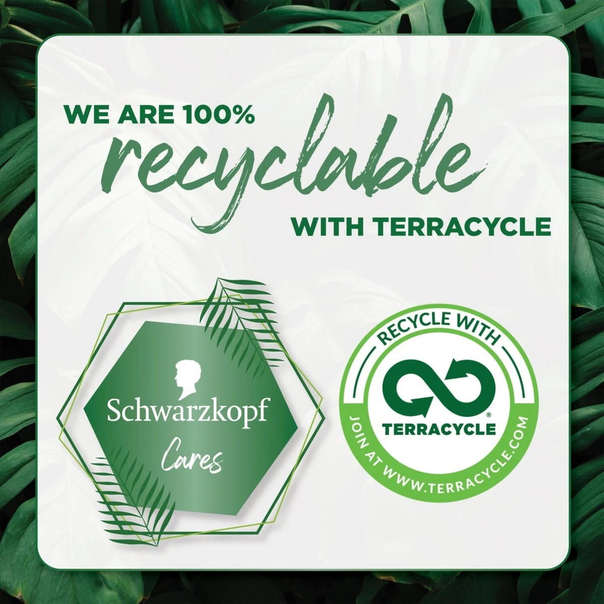 5 Schwarzkopf Extra Care Strong Styling Hairspray 100g, 5 of 5