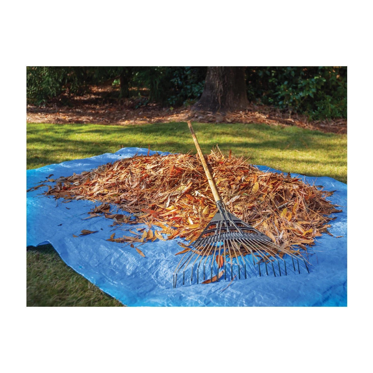 2 10' X 12' Tarp, 2 of 10