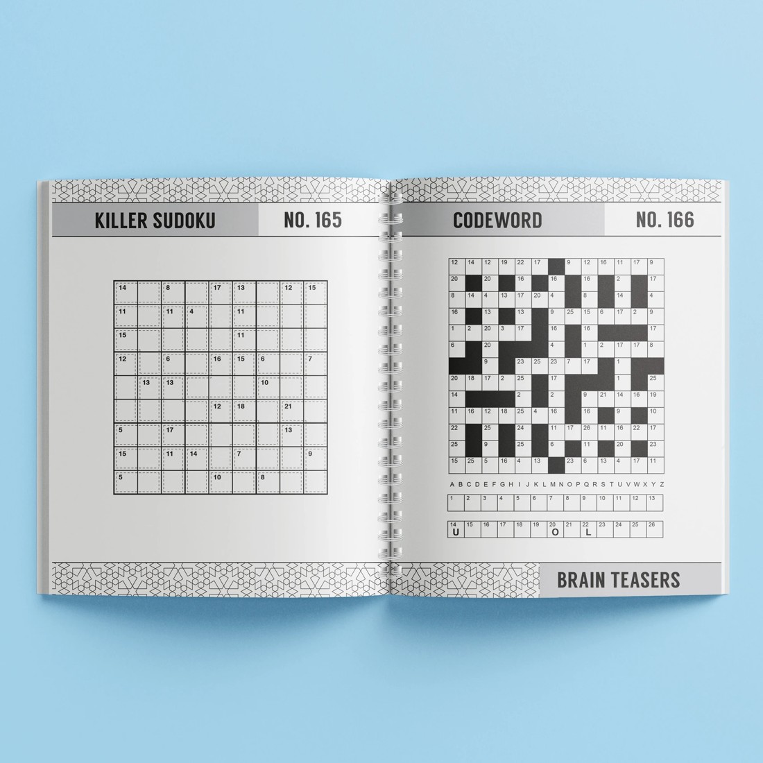 5 250 Puzzles: Brain Teasers - Book, 5 of 5