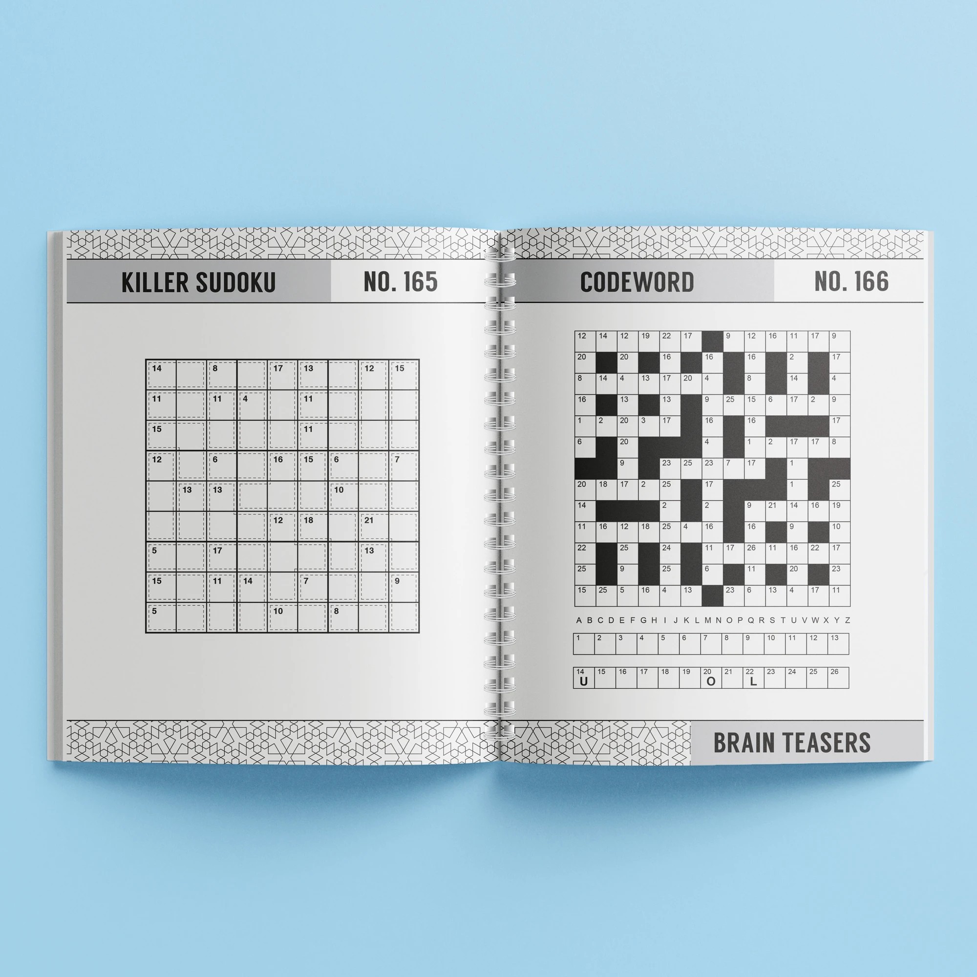 5 250 Puzzles: Brain Teasers - Book, 5 of 5