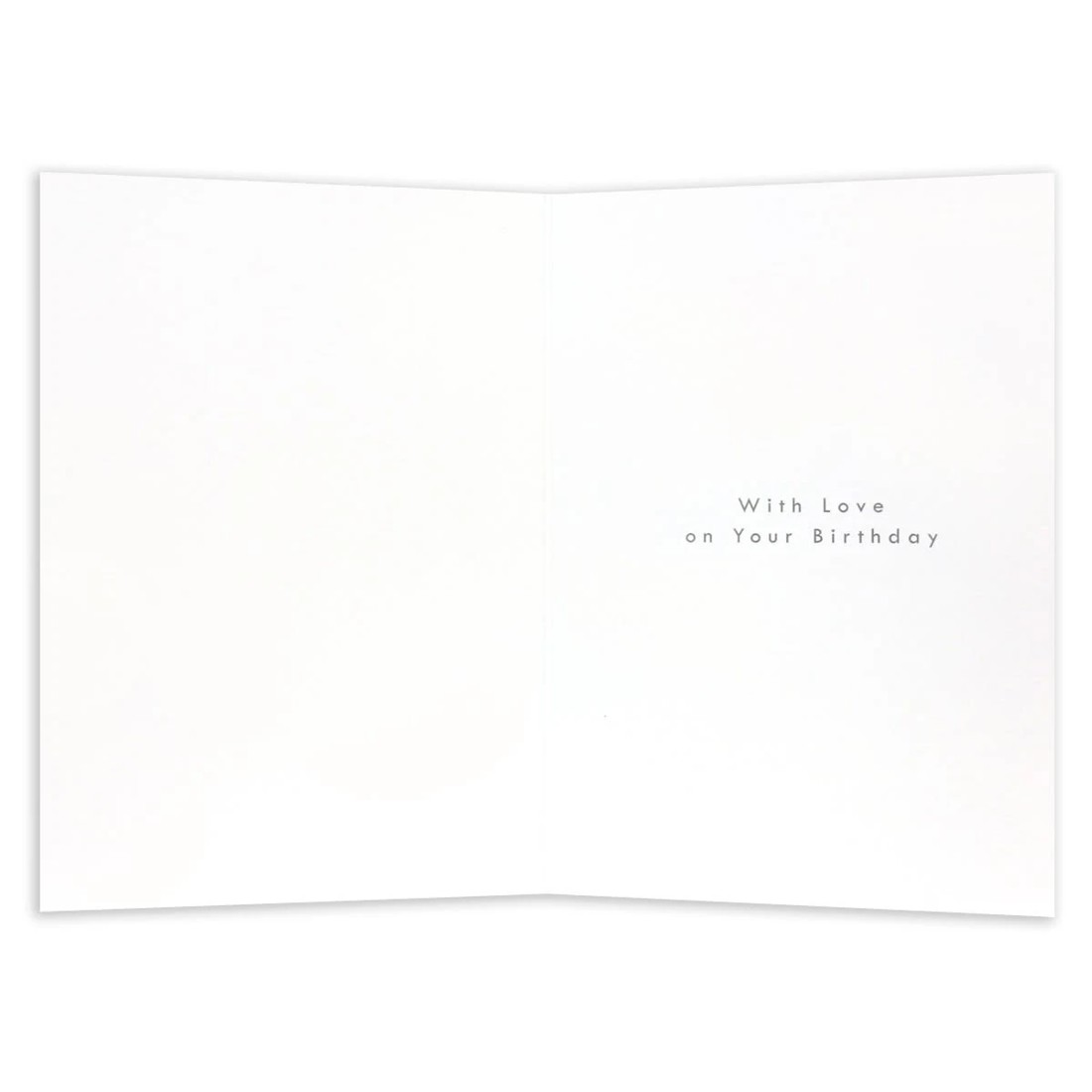 2 Connections from Hallmark Birthday Card For Granddaughter - Today Is Your Day, 2 of 2